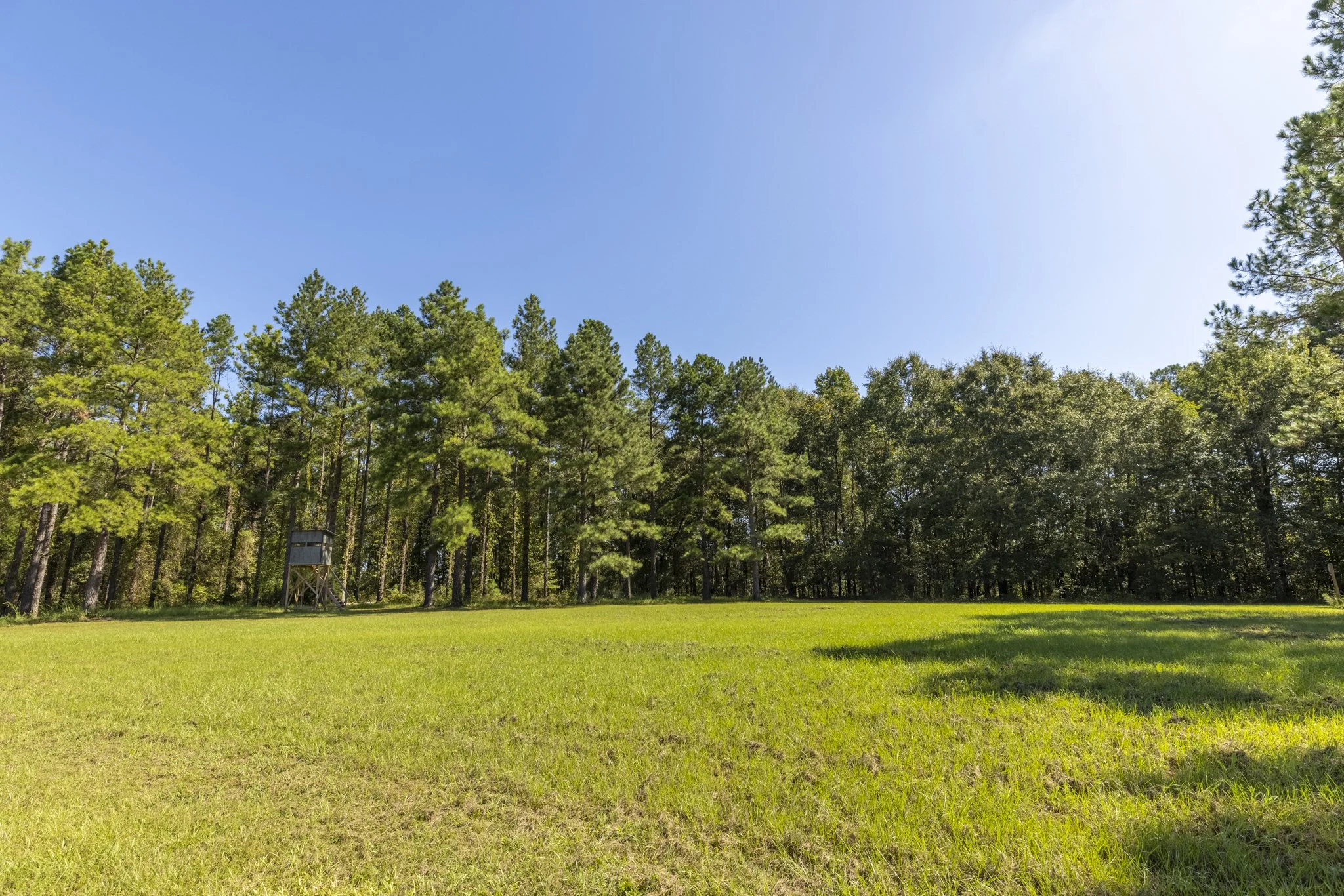 3O5A3015-HDR.jpg