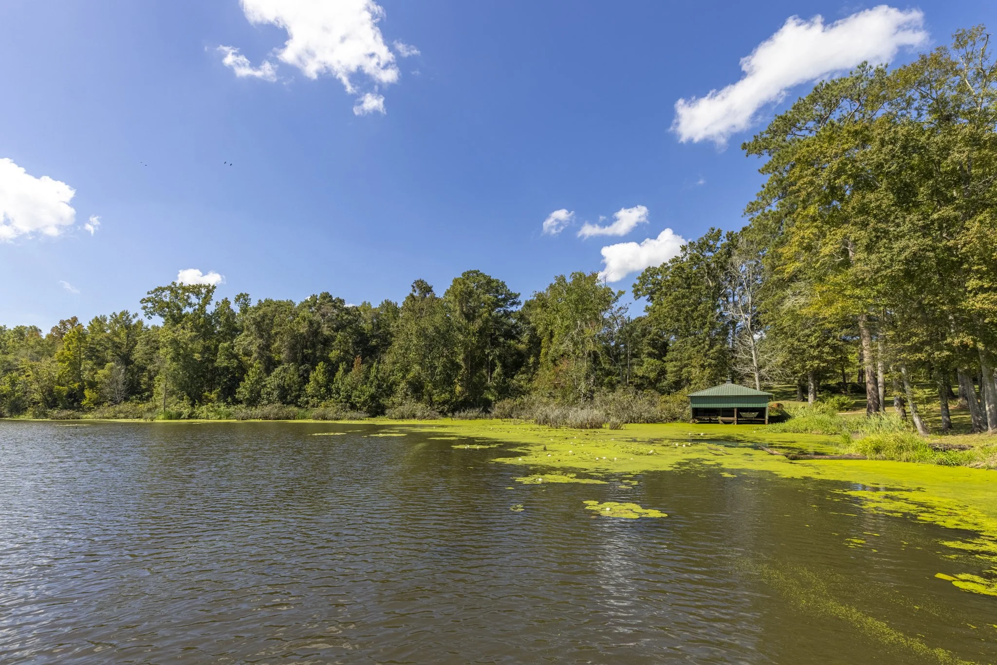 3O5A3090-HDR.jpg