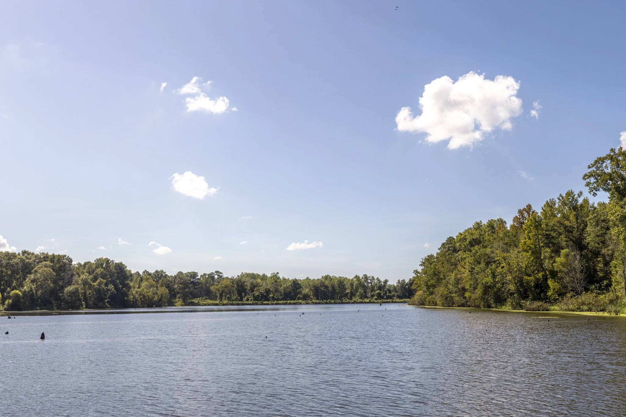 3O5A3095-HDR.jpg
