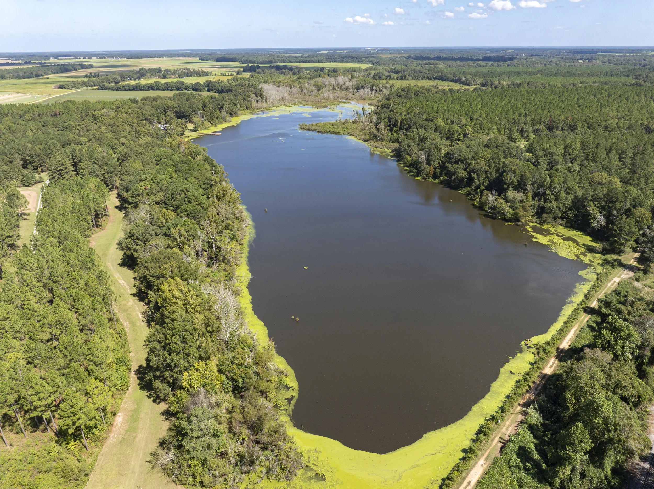 DJI_0019.jpg
