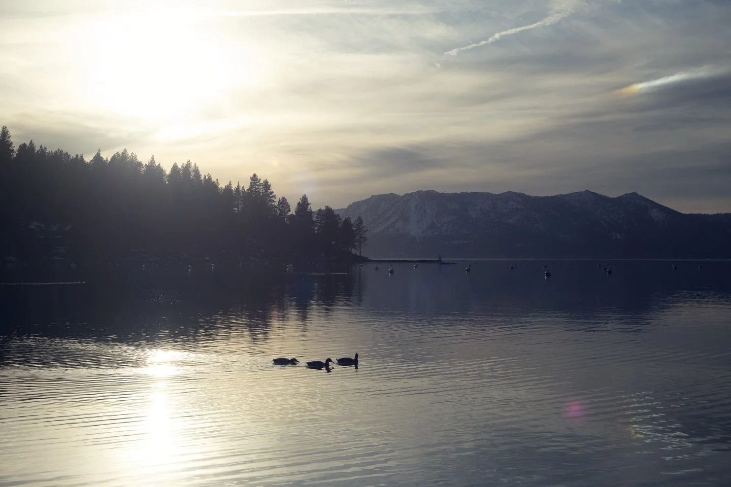 ー02/01: just testing the waters.... haha... trying my hand at landscapes 

📸 @mrgnsphotos 
Canon R6 Mark II @canonusa
Edited in @lightroom

#tahoe #renonv #nevadaphotographer #nvphotographer landscapem