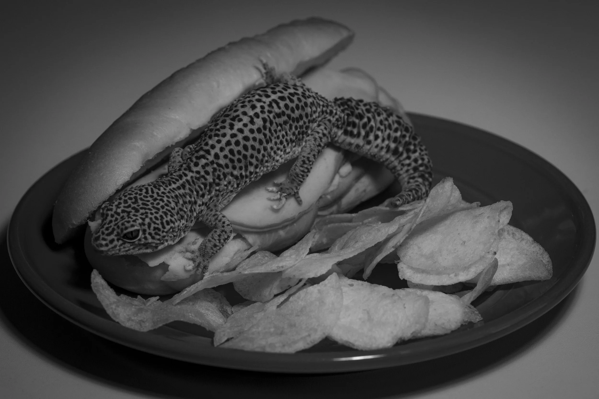 Sandwich.jpg