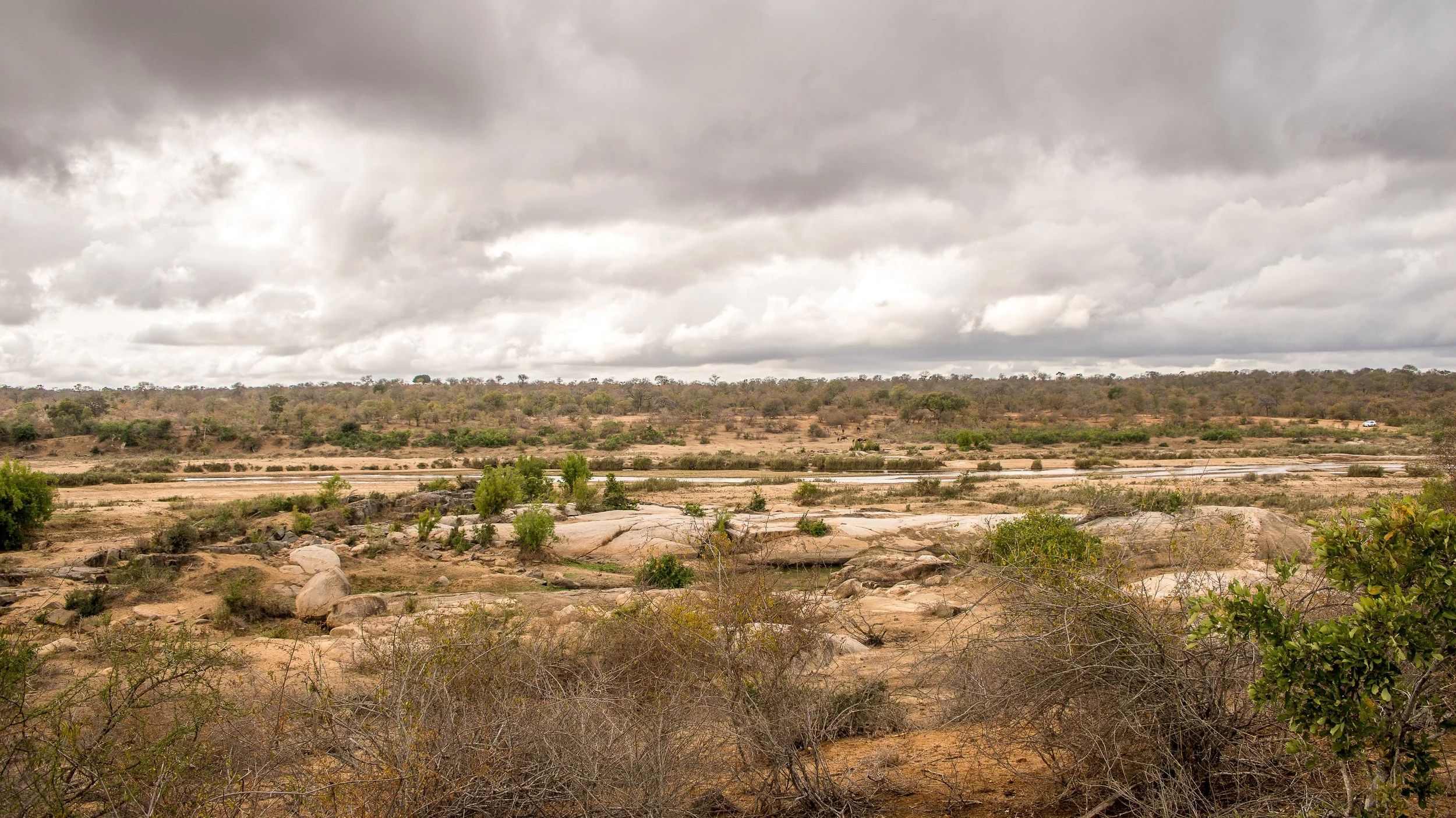 Open landscape with rocky terrain, sparse green vegetation, and a cloudy sky.