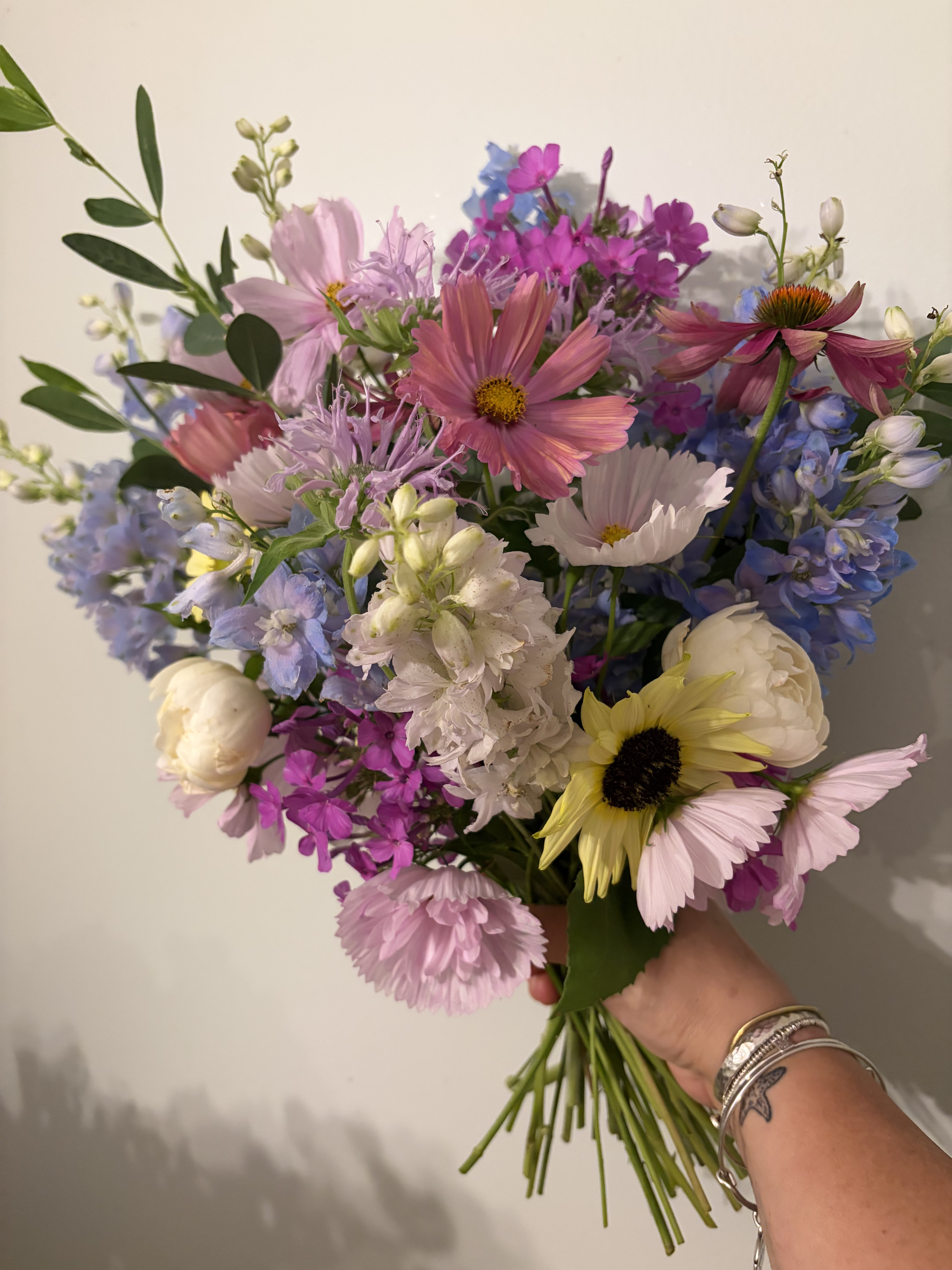E6DA48CB-8620-4686-ABFE-F3E06FC0DF1D.png