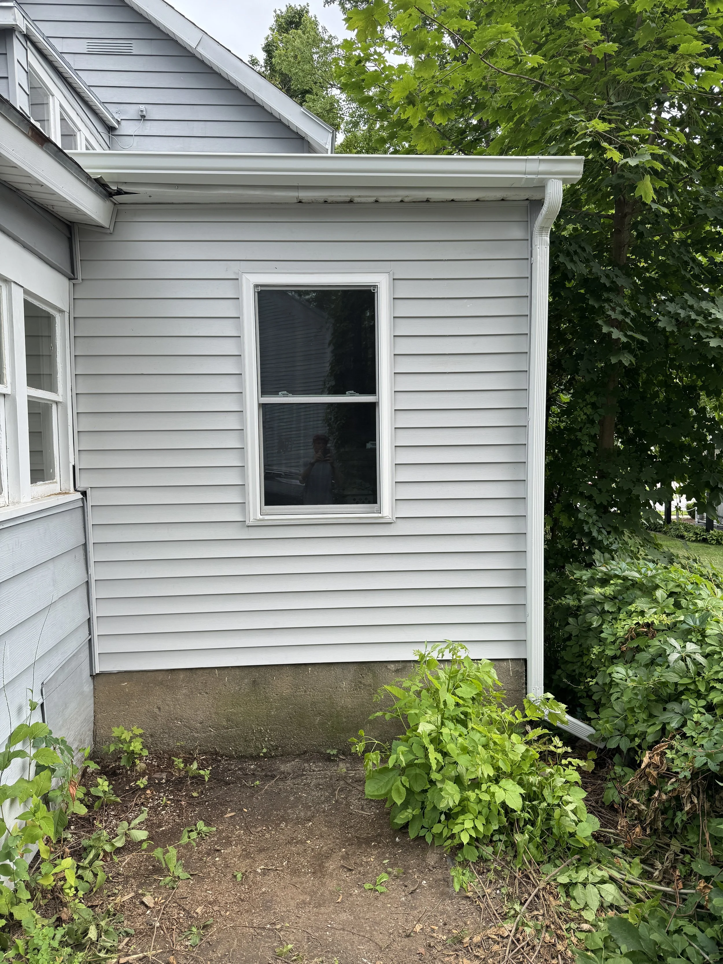 Backyard with a white house exterior, a window, and surrounding green bushes and plants.
