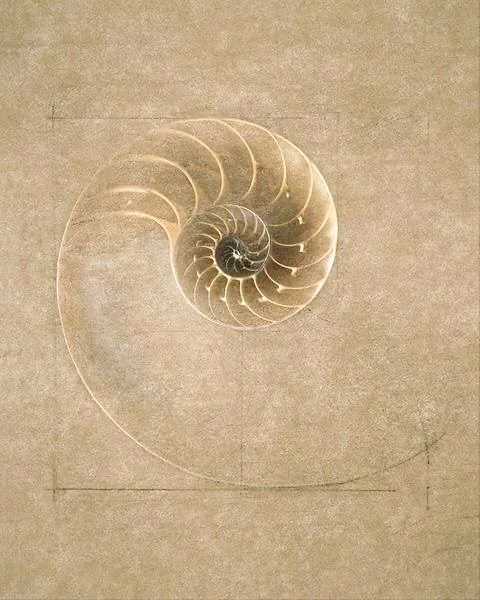 A space where you can just BE.

Keywords: Soulscape Pilates, Movement Is Medicine, Mindful Movement, Intentional Living, Pilates Studio, Wellness Community, Dynamic Movement, Self Care Journey, Restorative Wellness, No Judgment Zone, Empowered Moveme