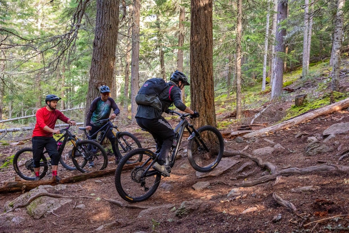 Three mountain bikers riding on a rugged forest trail with tall trees and rocky uneven terrain.