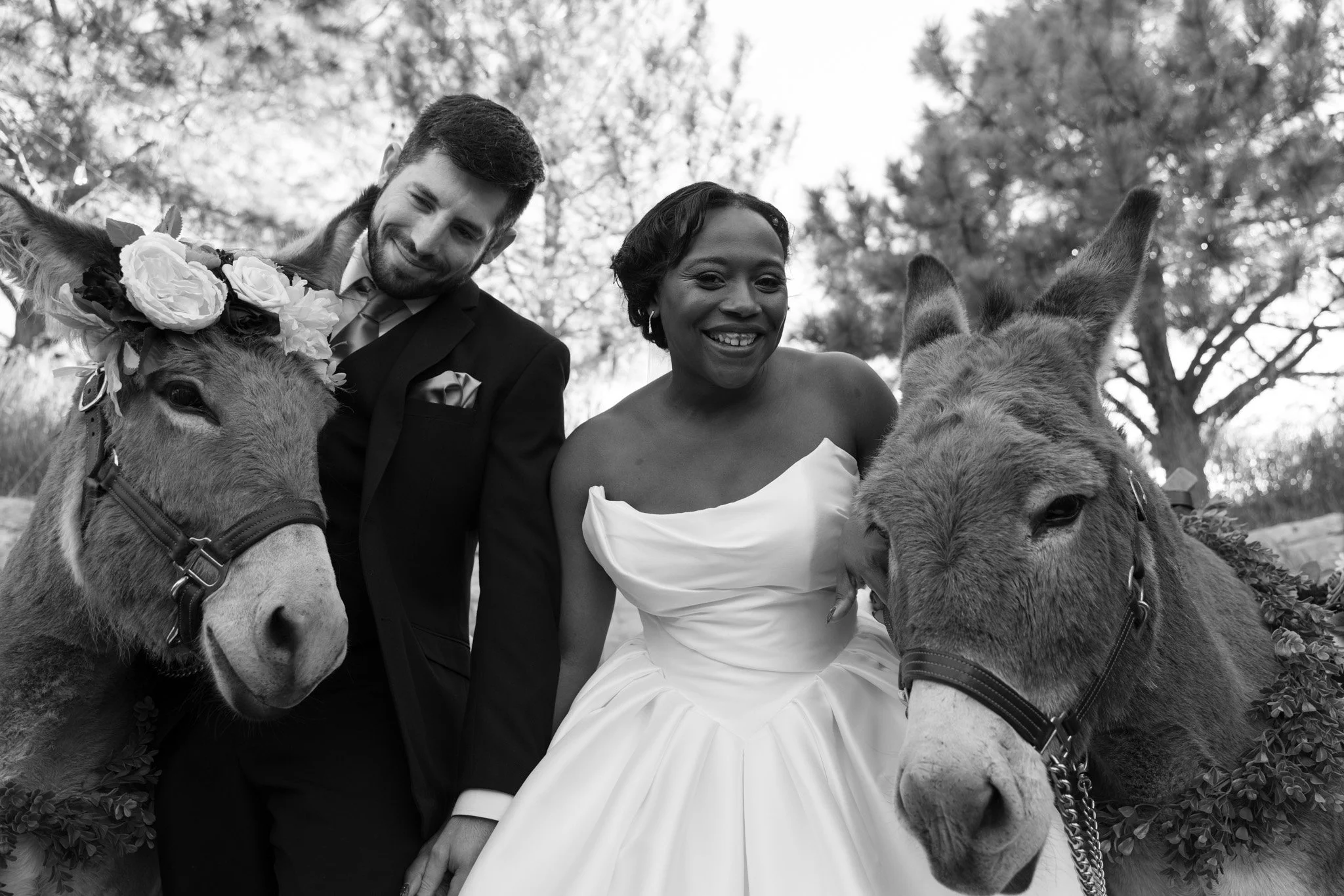 Past celebration - burro fun!