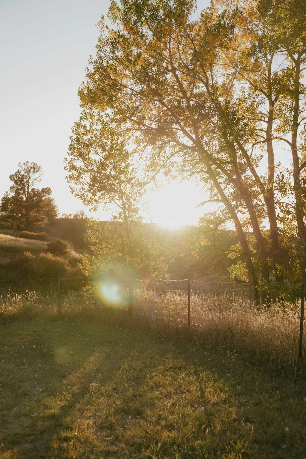  When a Place Becomes More Than a Place