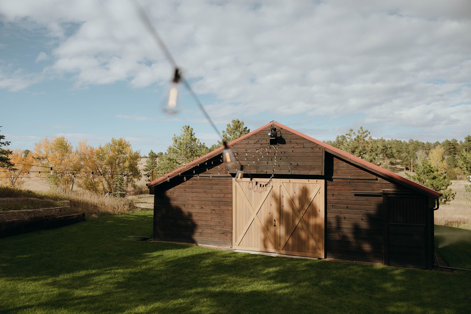 A wooden shed with double doors and string lights hanging on the roof in a grassy backyard, with trees and a blue sky in the background.