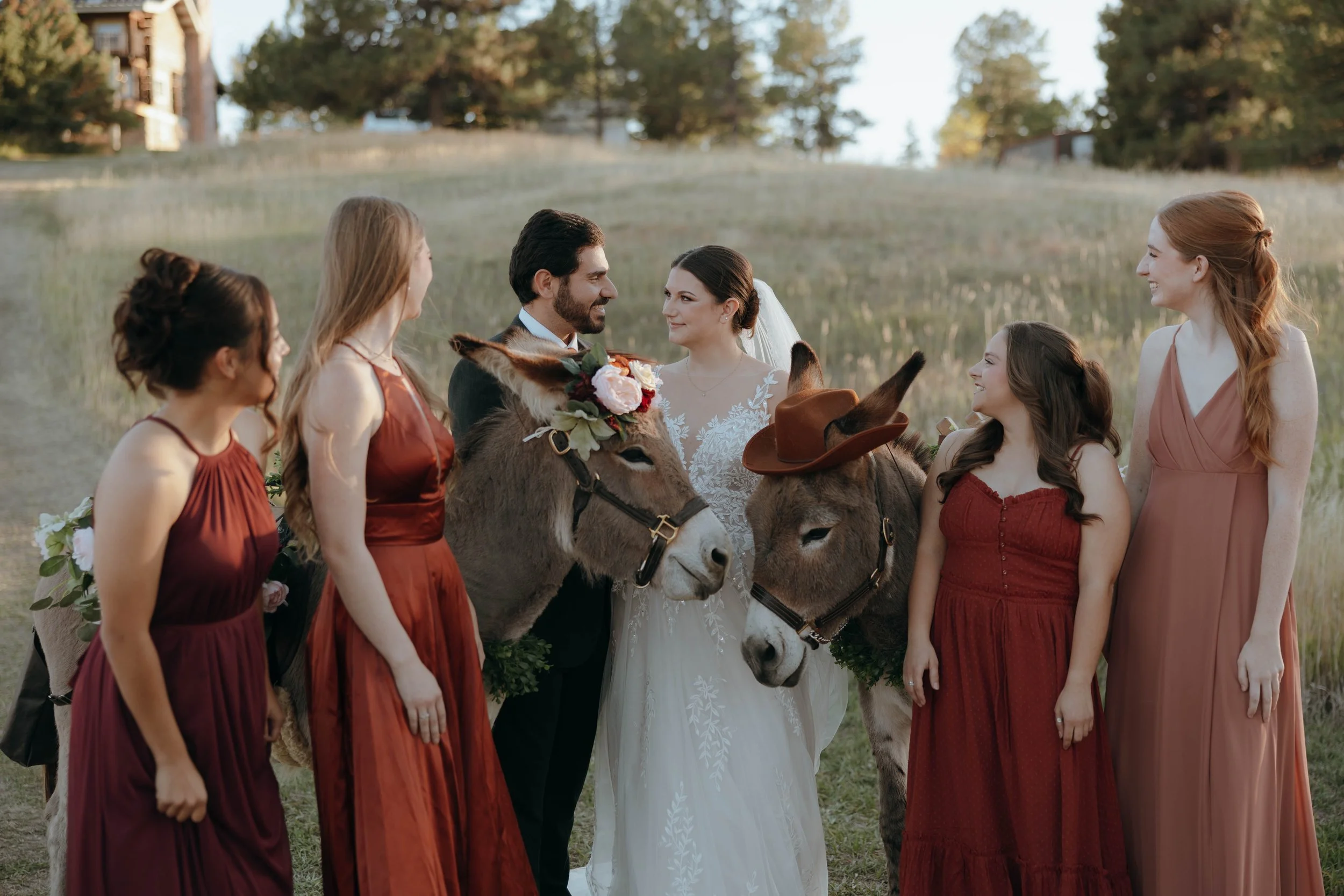 A bride and groom stand in the center of a group of women during a wedding photoshoot on a grassy field, with two donkeys decorated with flowers and hats, and the women are wearing colorful dresses.