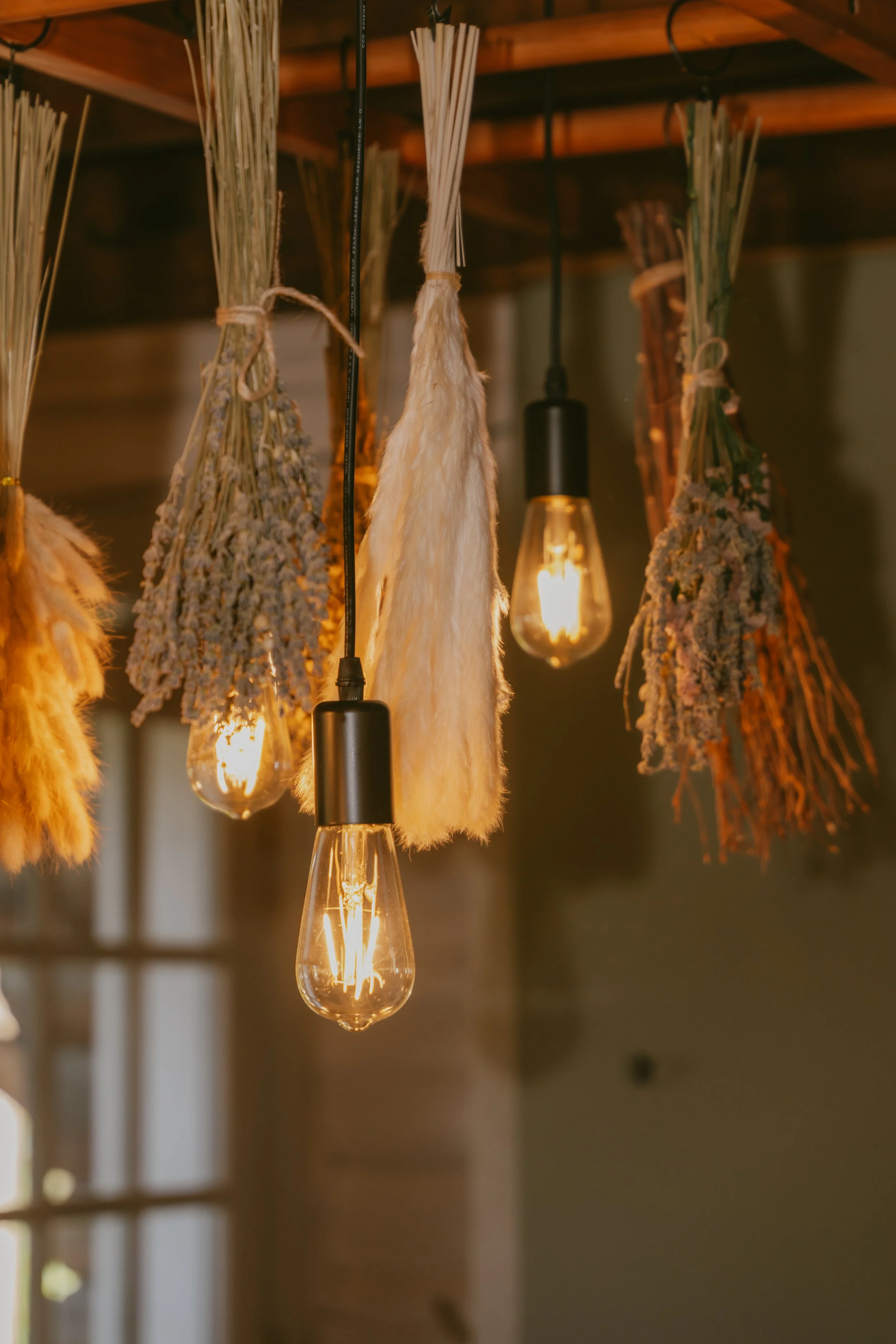 Hanging light bulbs and decorative dried flowers or grasses in warm, ambient lighting.