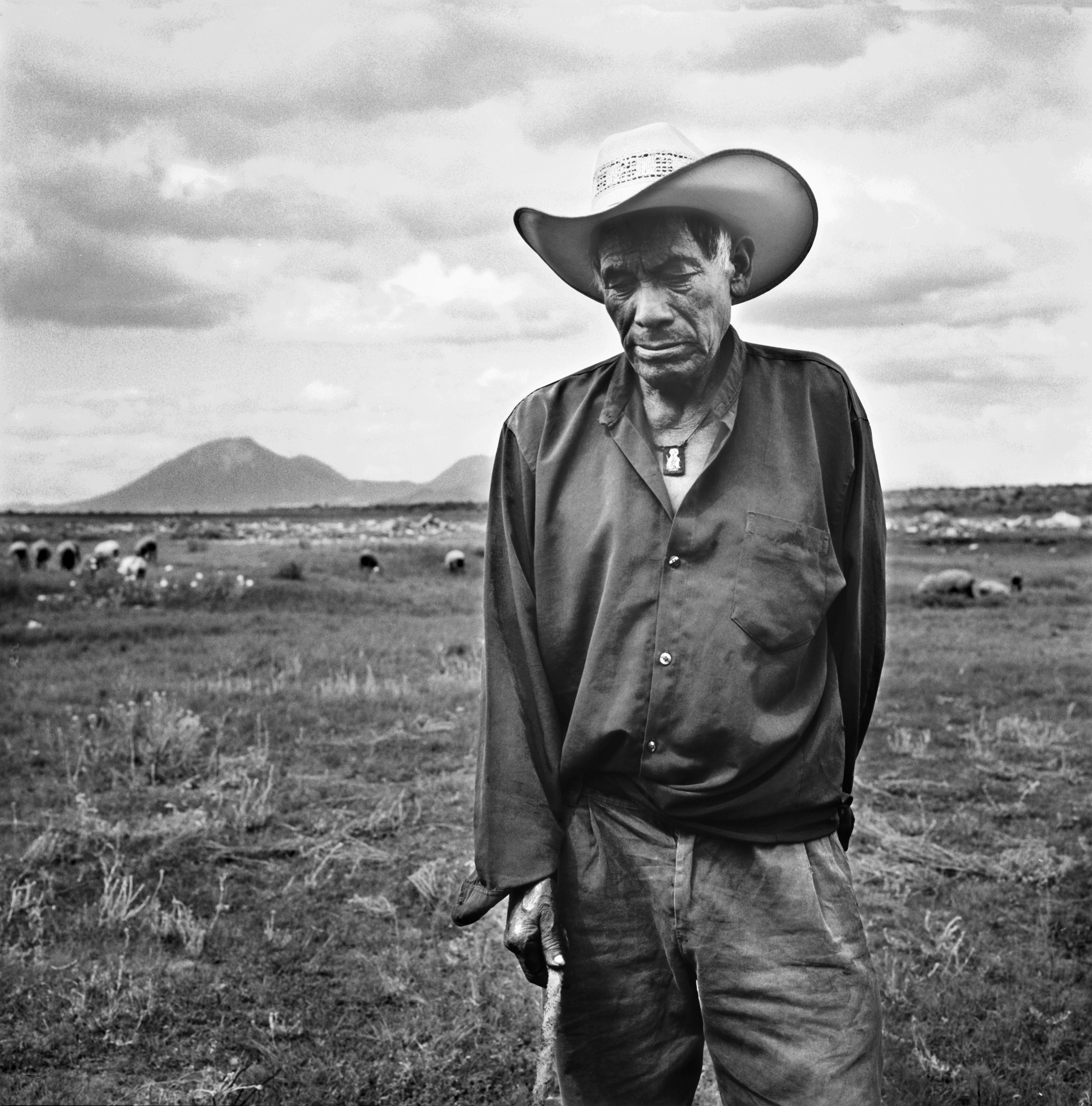 cowboy per impressione.jpg