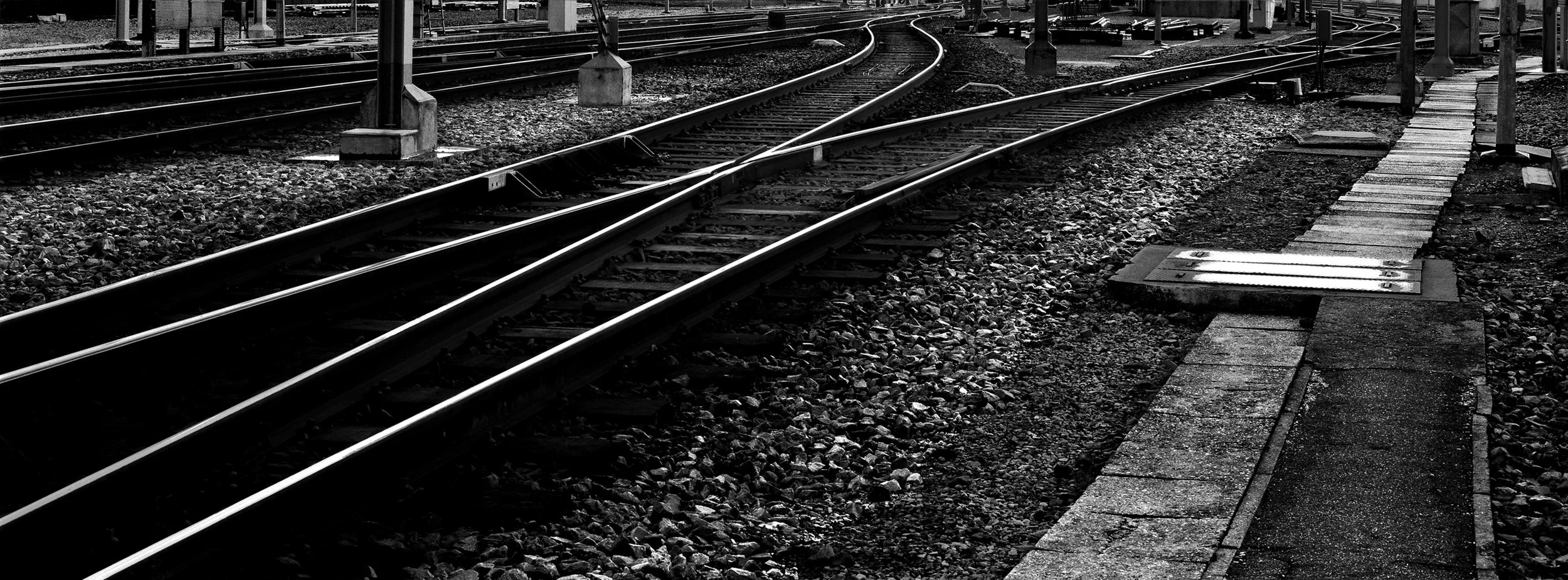 binarinuova40X108 copia.jpg