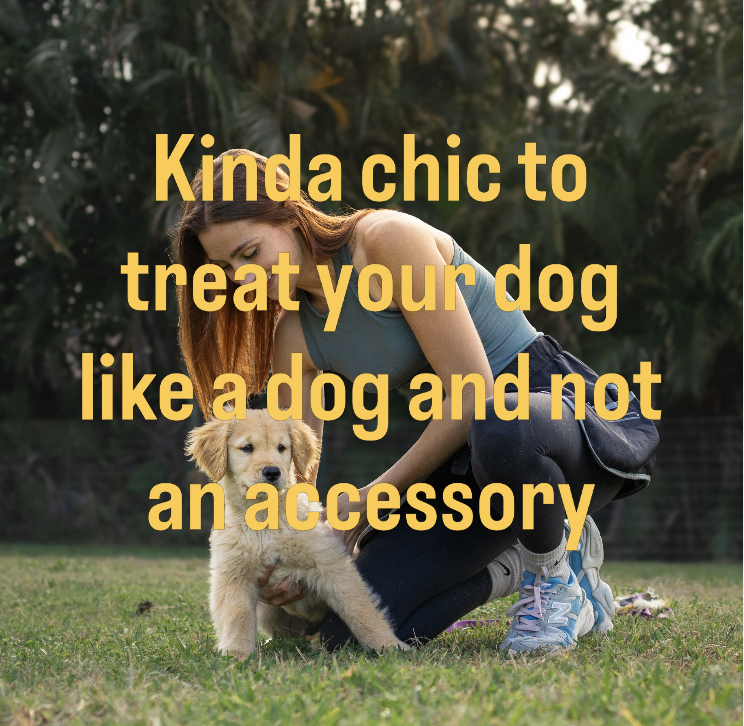 Instagram post from mycaninecoaching