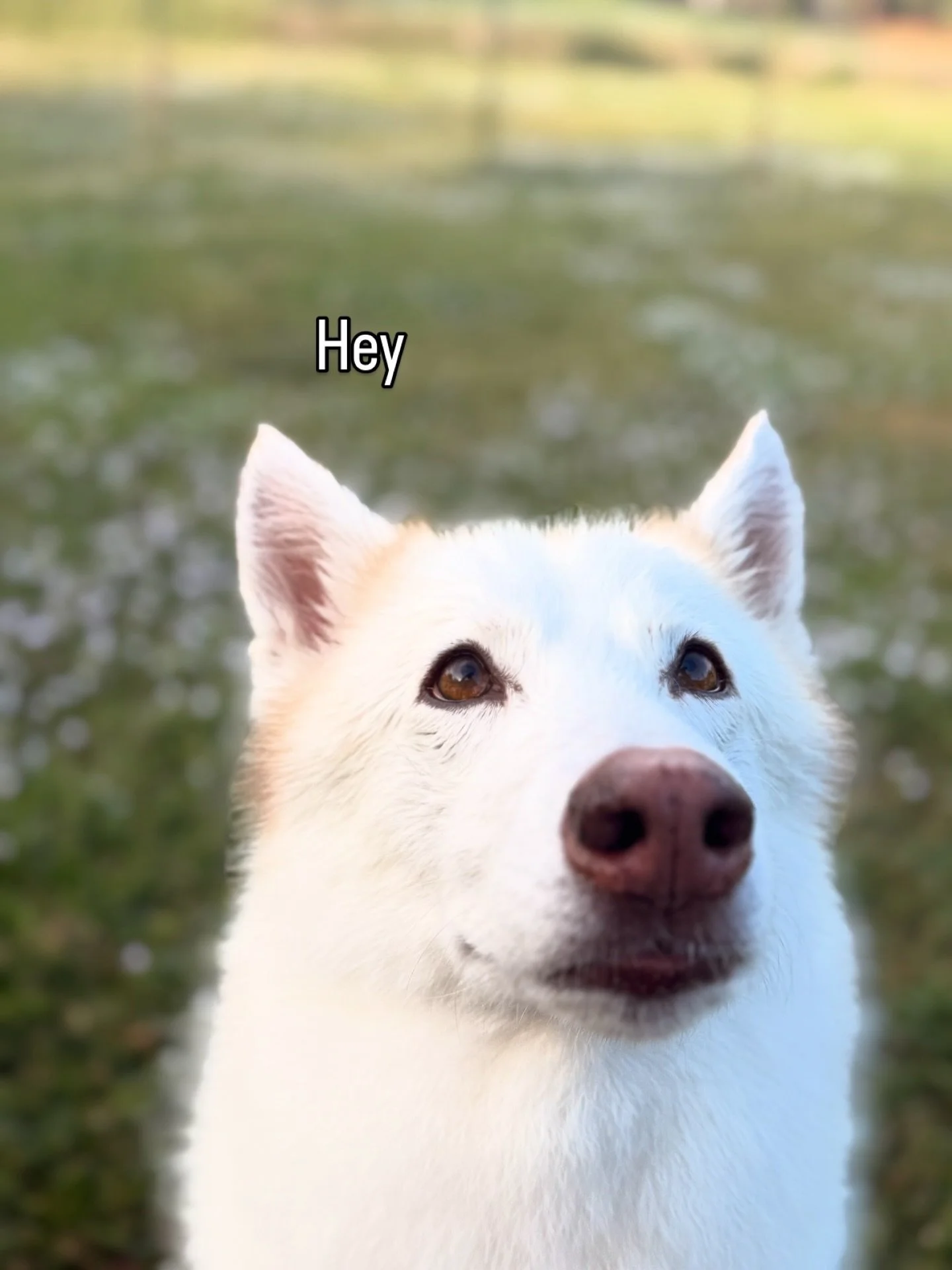 In case no one told you today.

#keepgoing