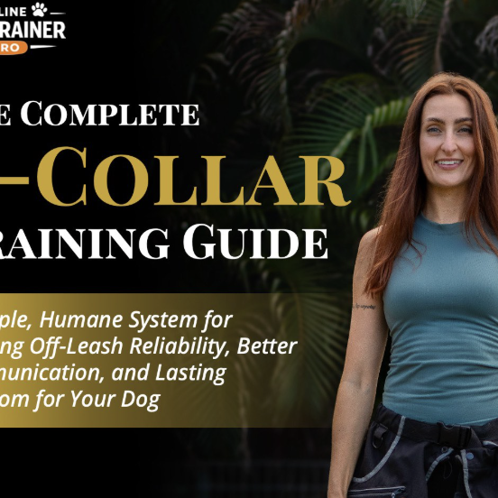 Instagram post from mycaninecoaching