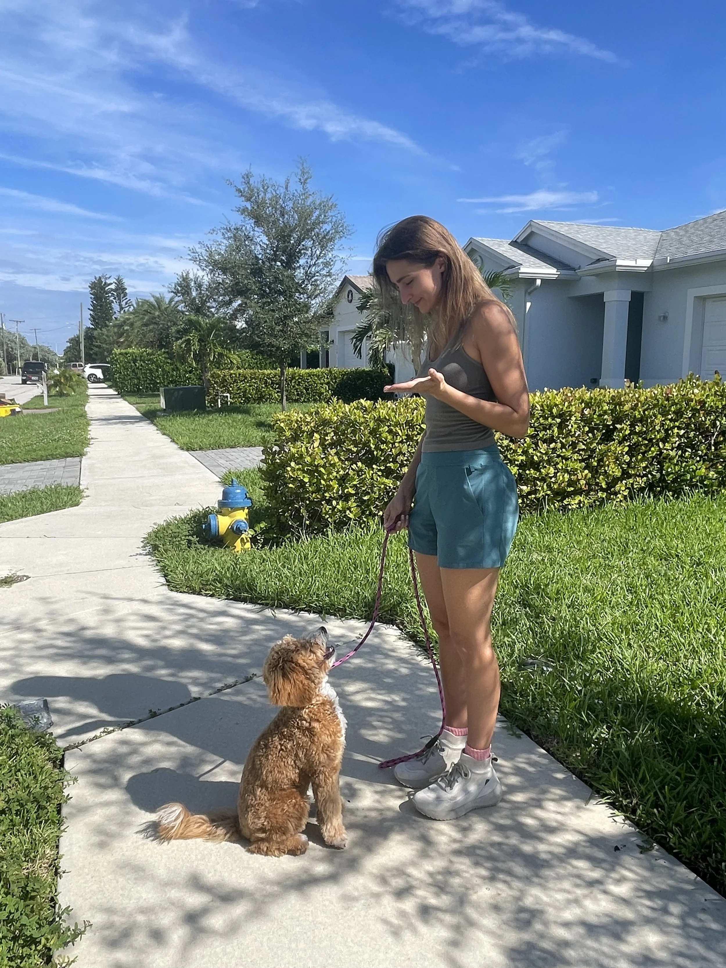 Woman with brown hair in gray tank top and blue shorts walking a small fluffy dog on a concrete sidewalk in a suburban neighborhood with green grass, trees, and houses under a blue sky.