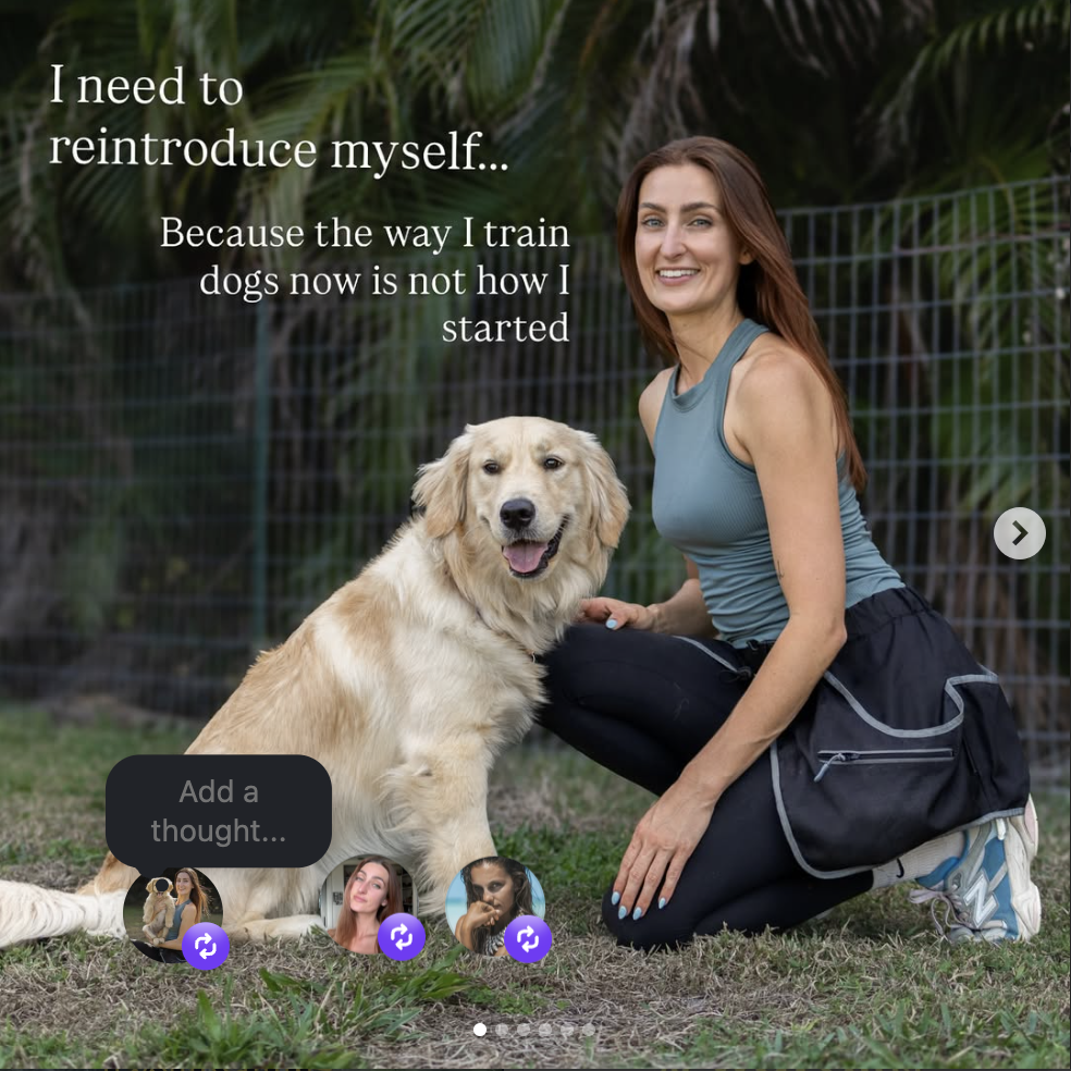 Instagram post from mycaninecoaching