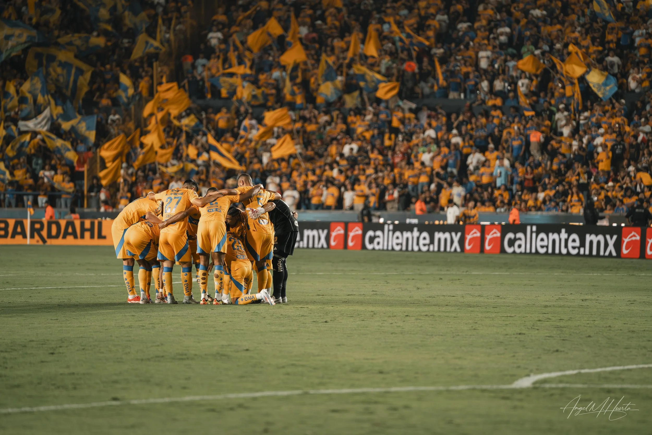 Tigres.jpg