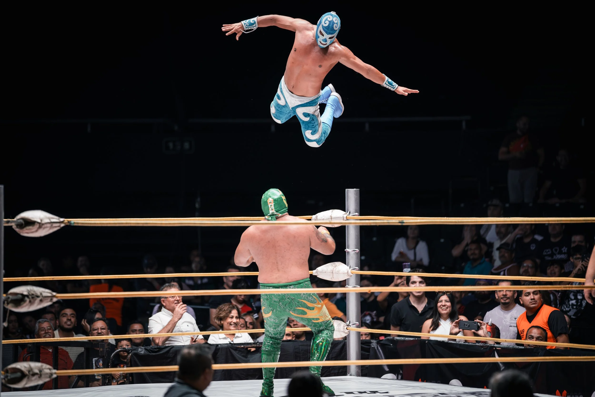 Flying Blue.jpg