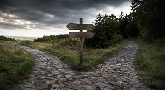What Hiring a Tax Problem Solver Actually Costs (And Why the Math Never Favors Waiting)