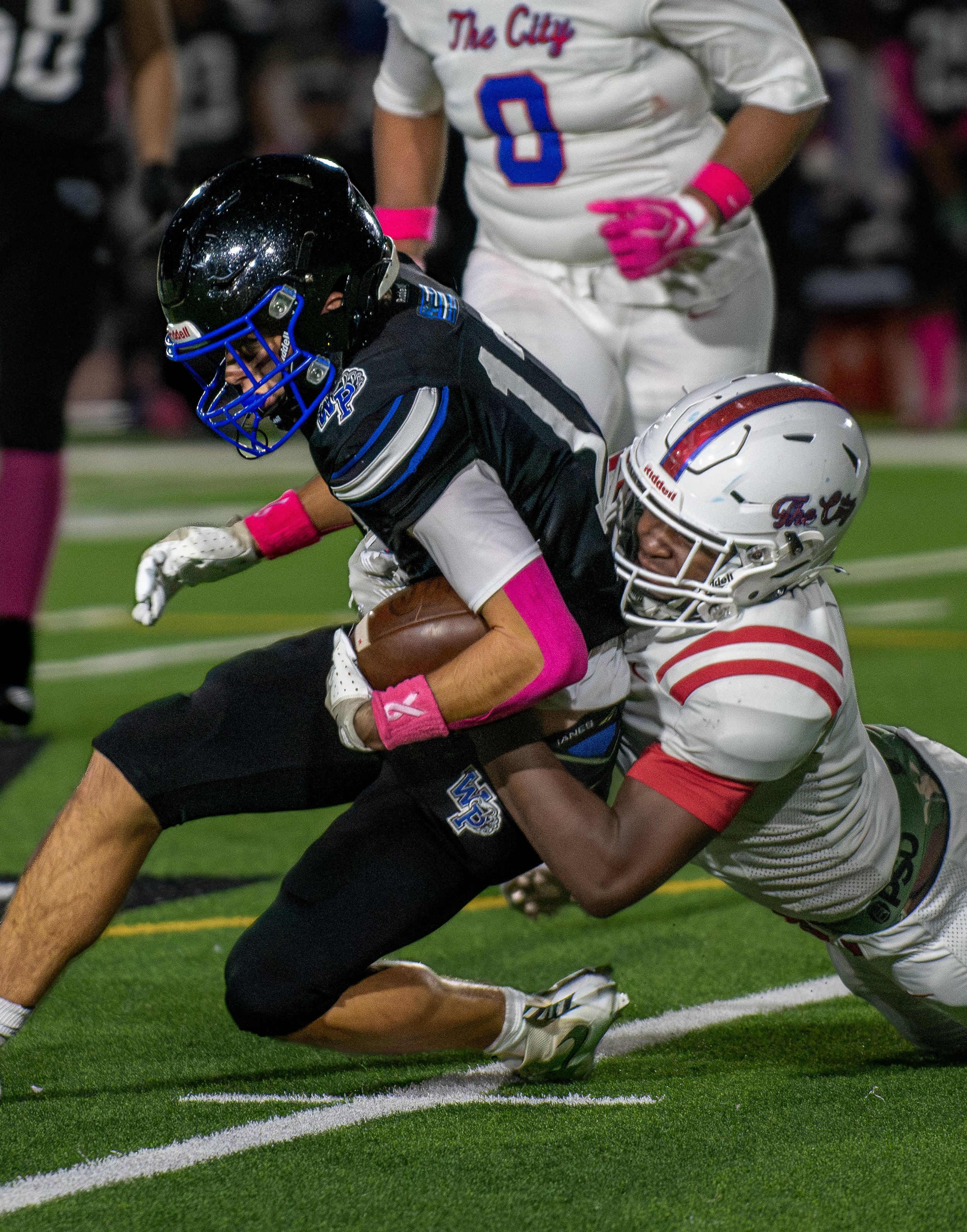 ACVFB-IG-19.jpg