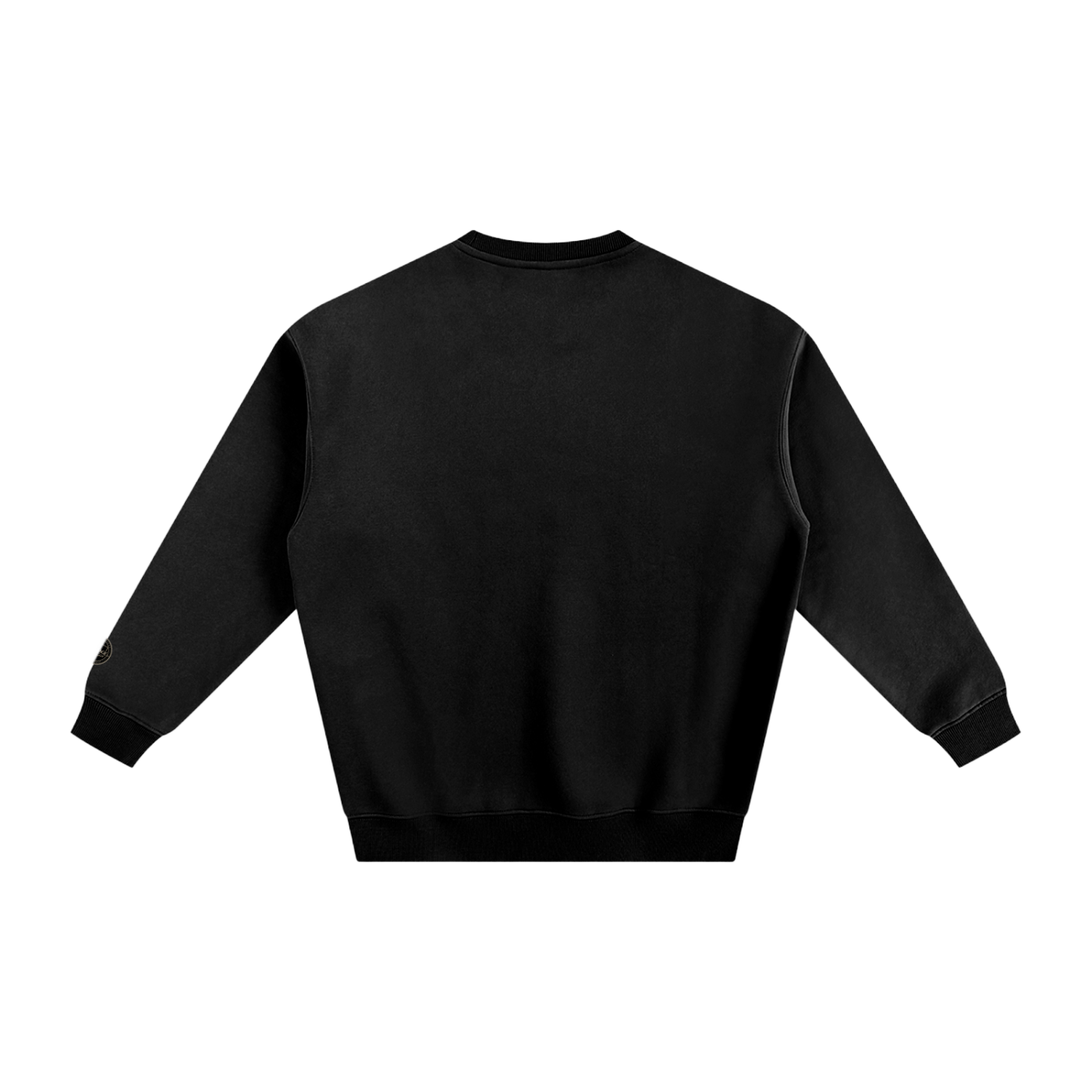 CT - City Fits navySweatshirtBack.png