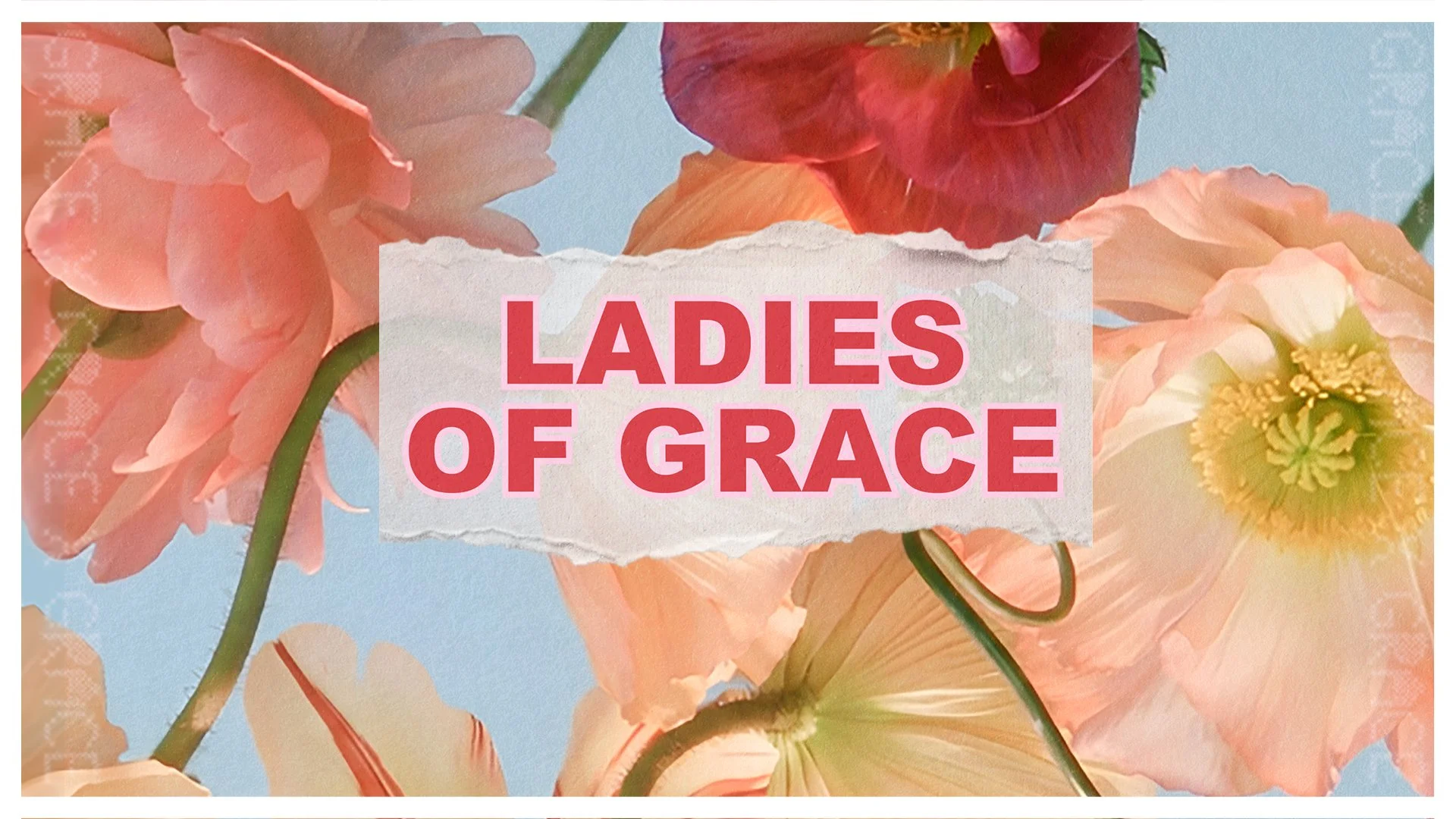 Ladies of Grace 2027