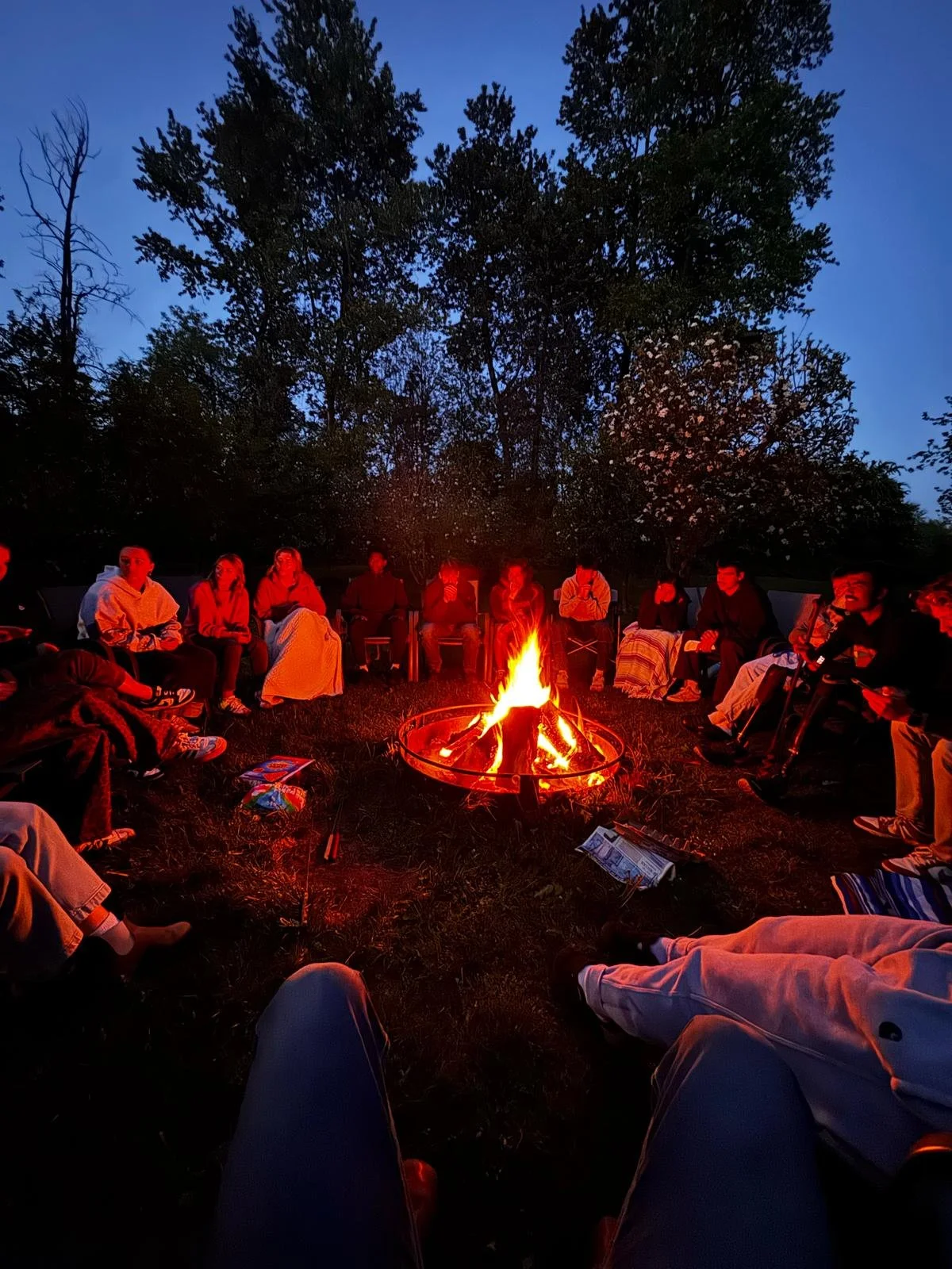 Group of people sitting around a campfire outdoors during dusk, with trees in the background.