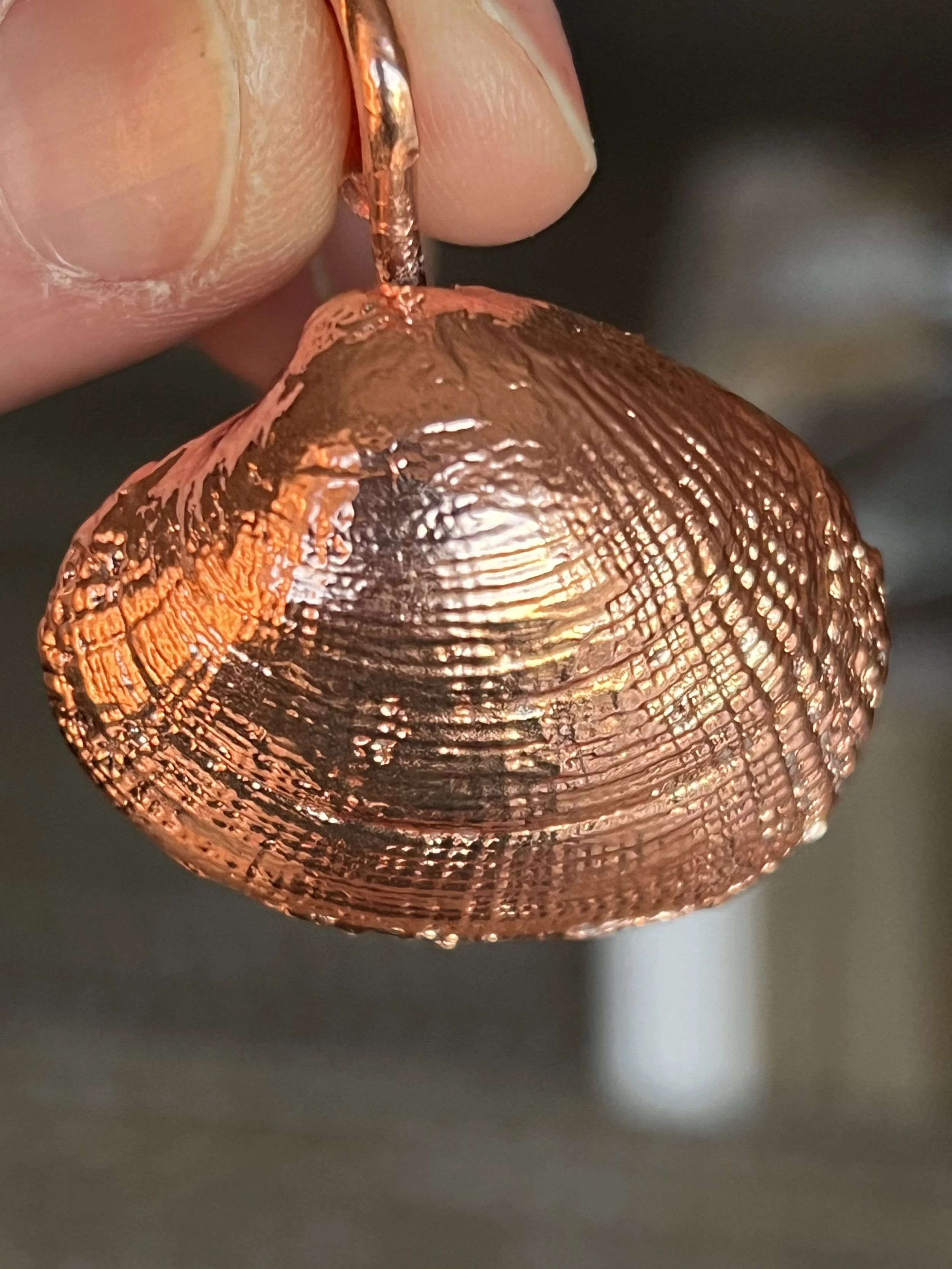 A hand holding a copper seashell with intricate ridges and a metallic shine.