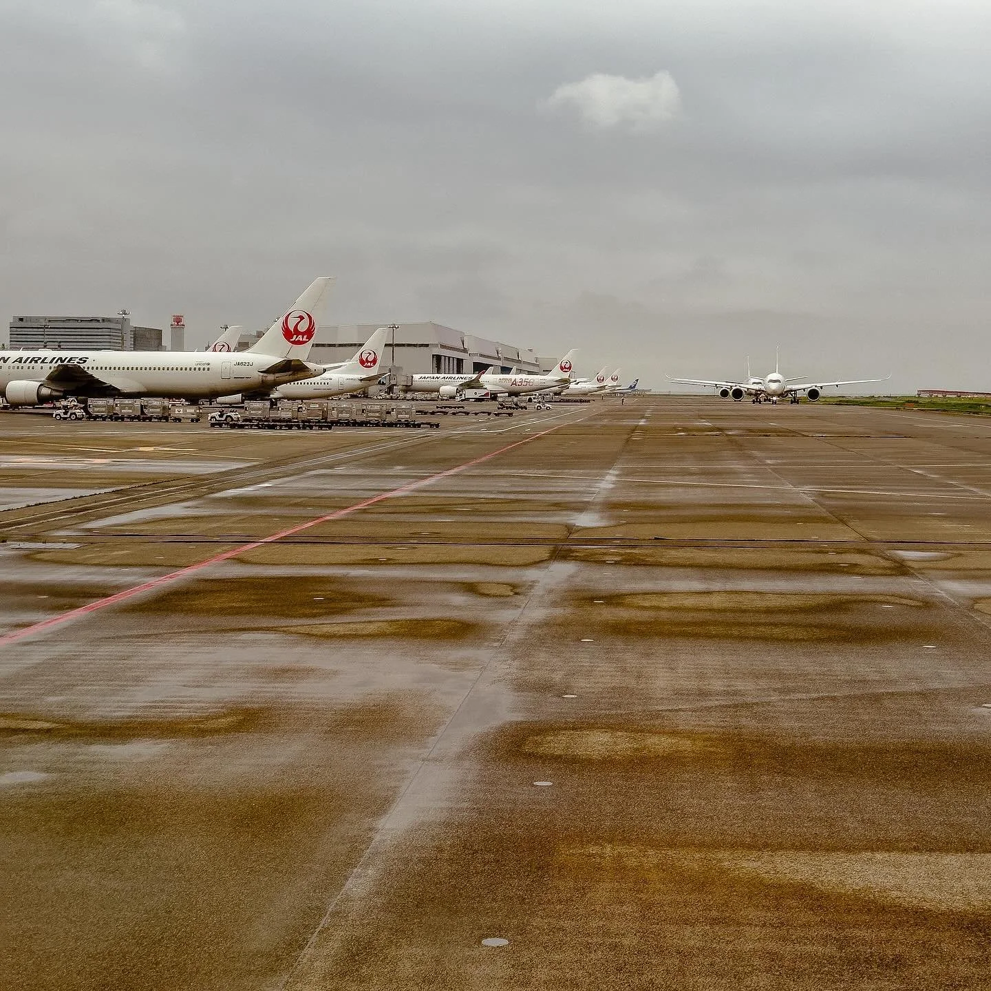 Haneda morning traffic with lots of A350 in sight

#Airbus #A350 #767 #737 #JapanAirlines #JAL #JL #oneworldemerald #oneworld #HND #hanedaairport #羽田空港 #airport #flying #travel