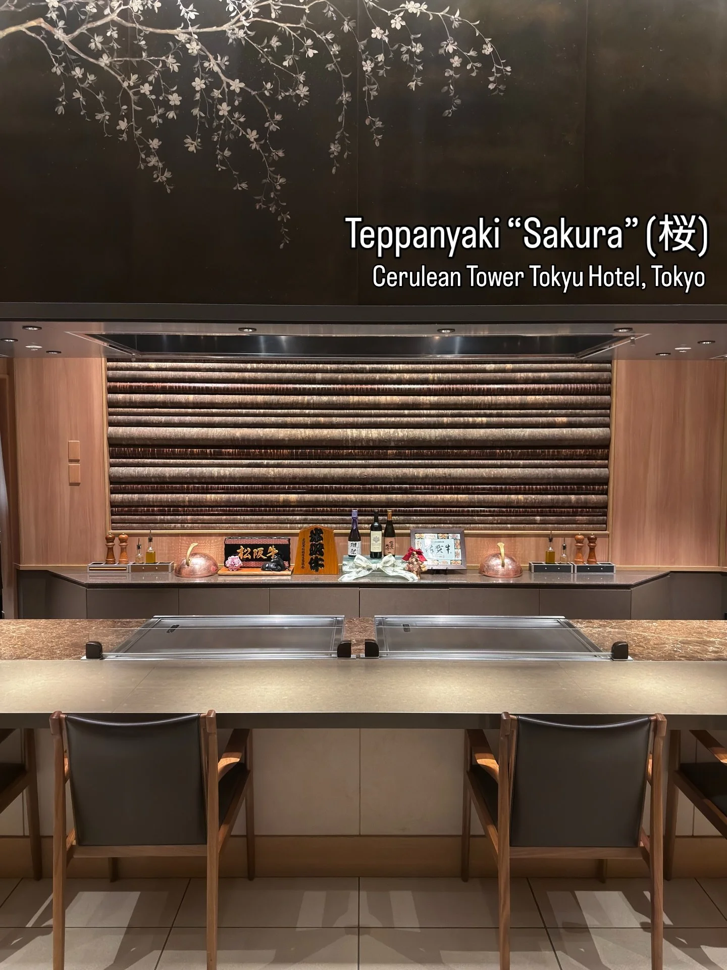 Teppanyaki &ldquo;Sakura&rdquo; (桜) at Cerulean Tower Tokyu Hotel.

From amuse to the Sakura salad, hotate (substitution), papillote, then abalone and seasonal vegetables, before the main event, the meat. Followed by a proper finish with garlic rice,