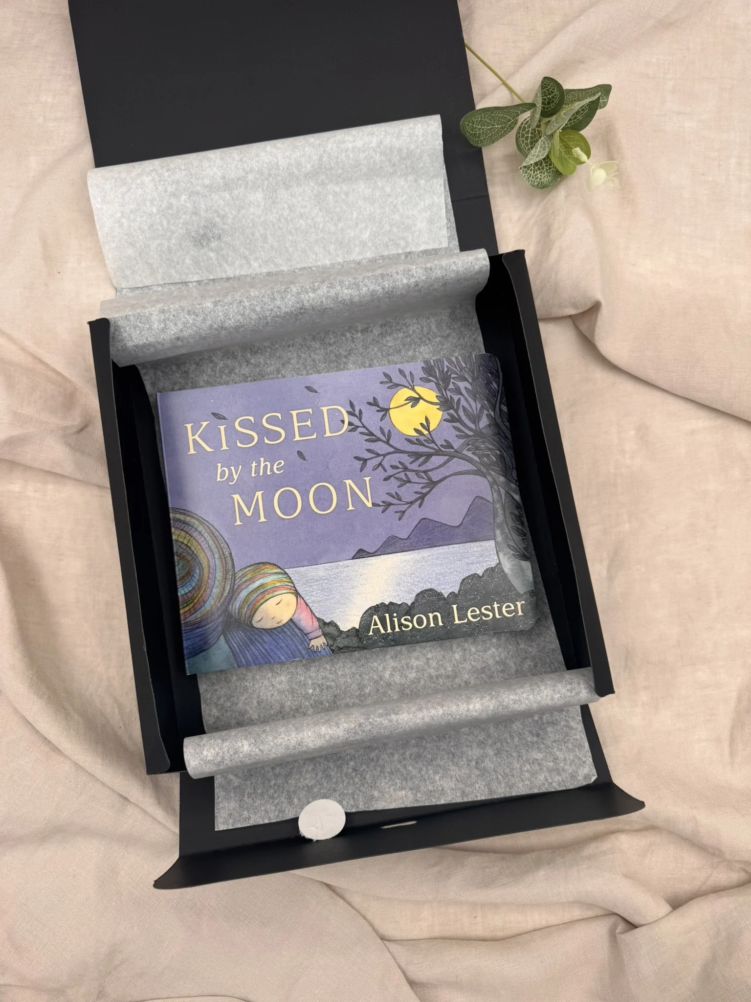 Little Comfort - Book in Box - Neutral.JPEG