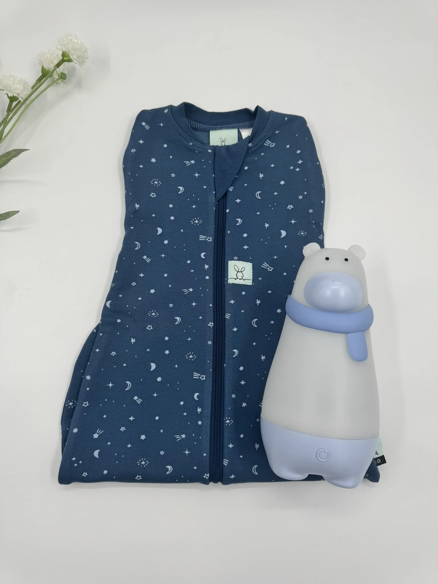 Sleepytime Boy - Sleepsack and Nightlight.JPEG