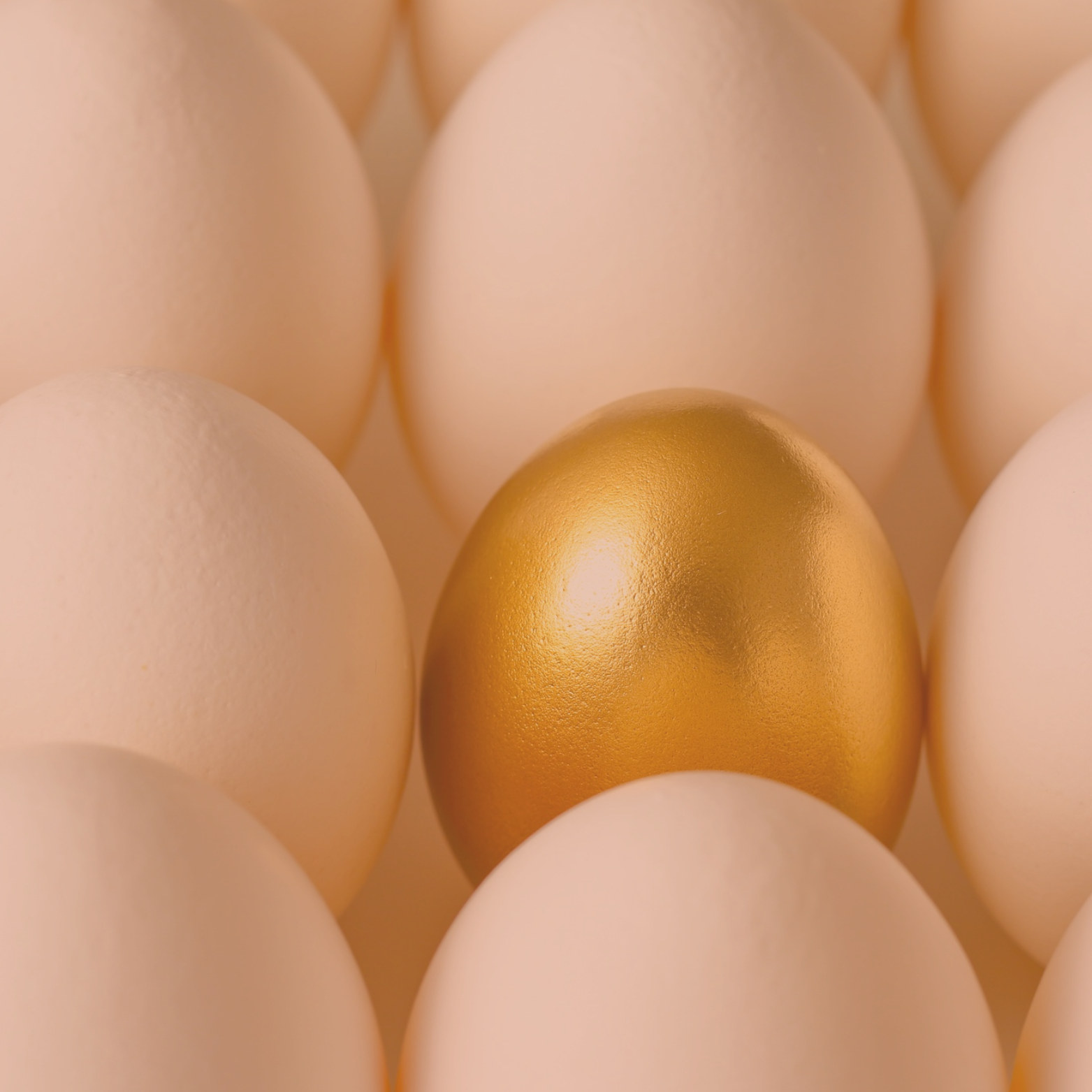 A collection of white eggs with one gold-painted egg among them.