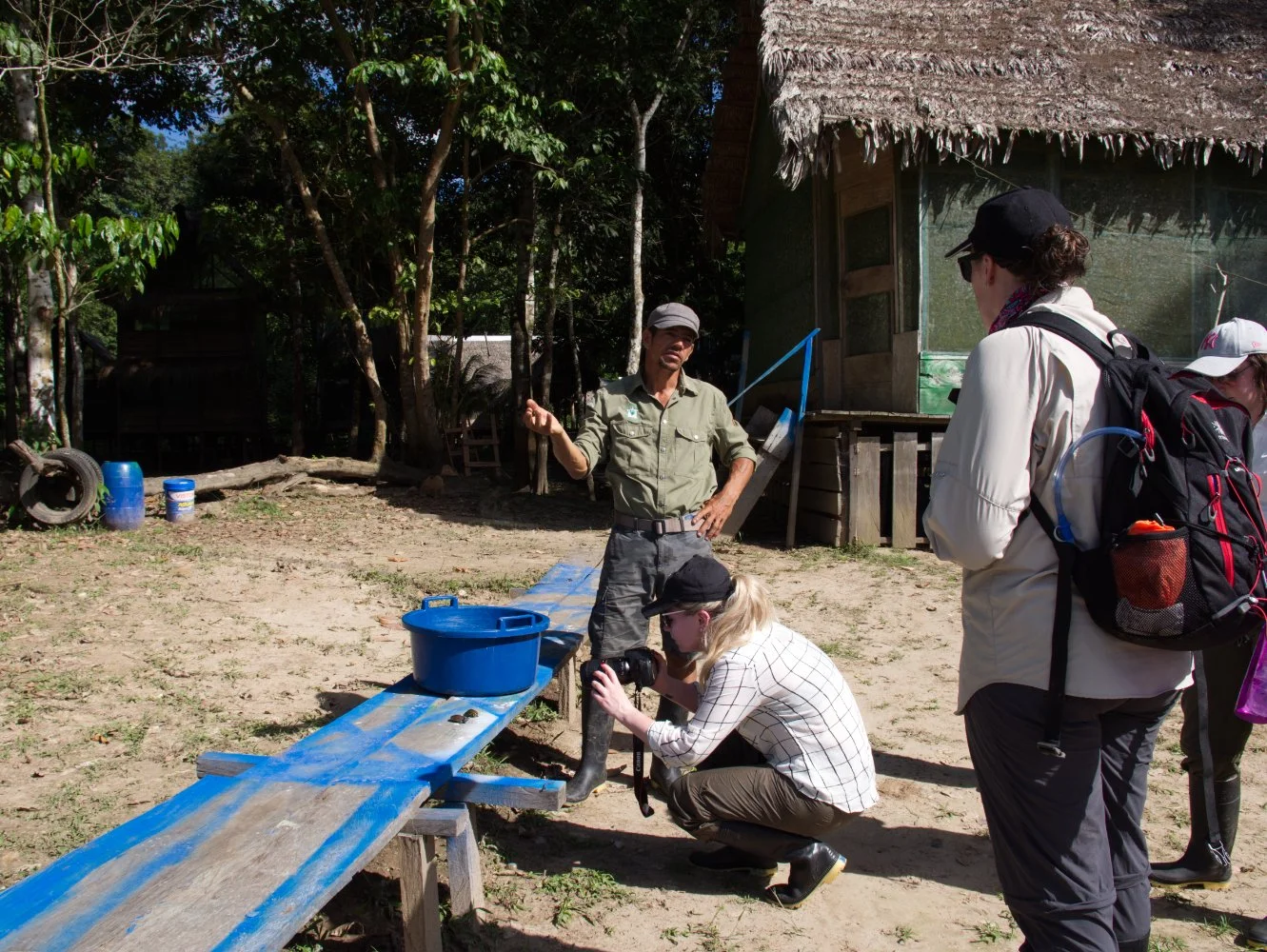 Releasing rescued baby turtles right in front of the Tapiche lodge so that future nesting mothers return to this safe haven
