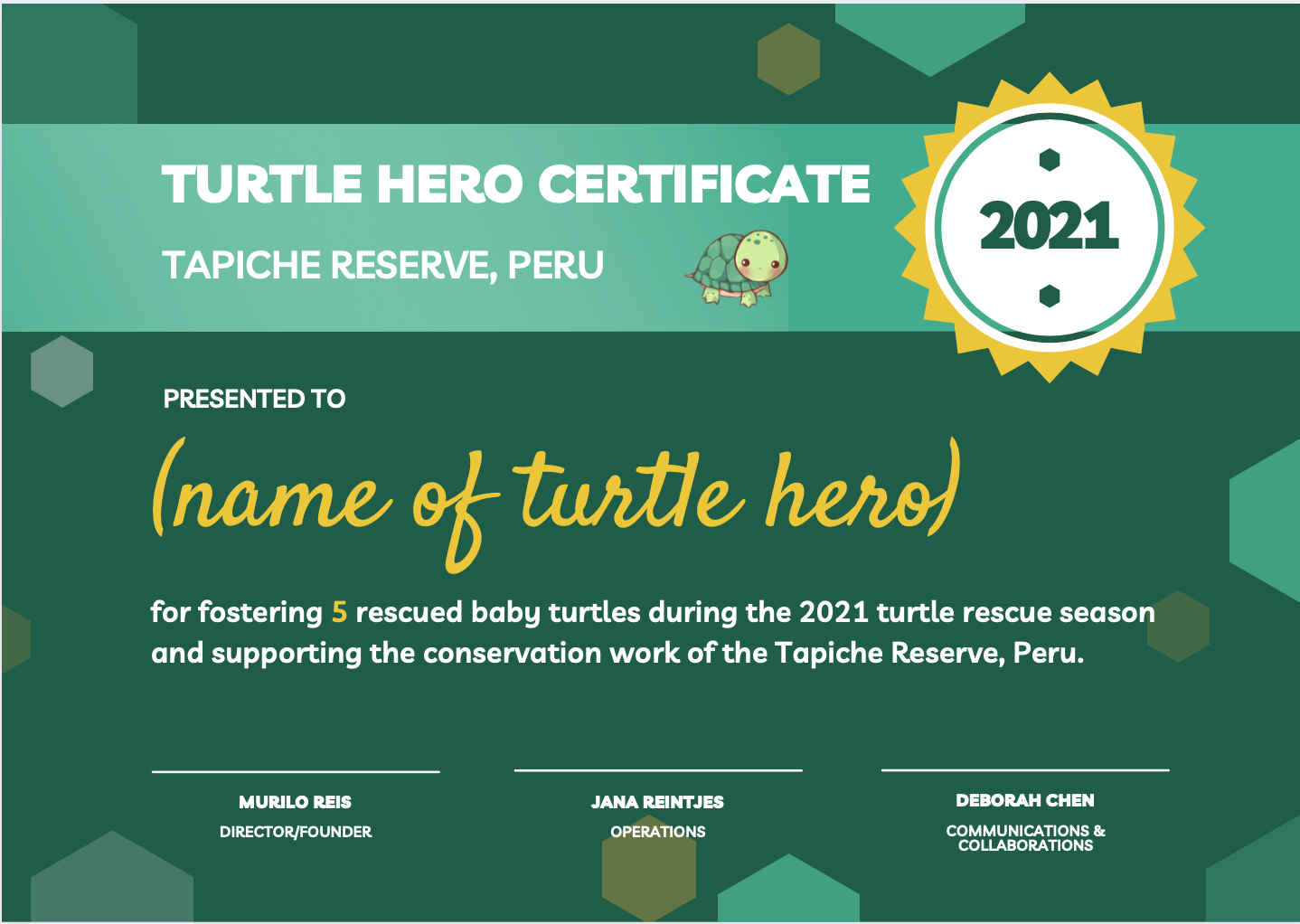 First release of rescued baby turtles 2021