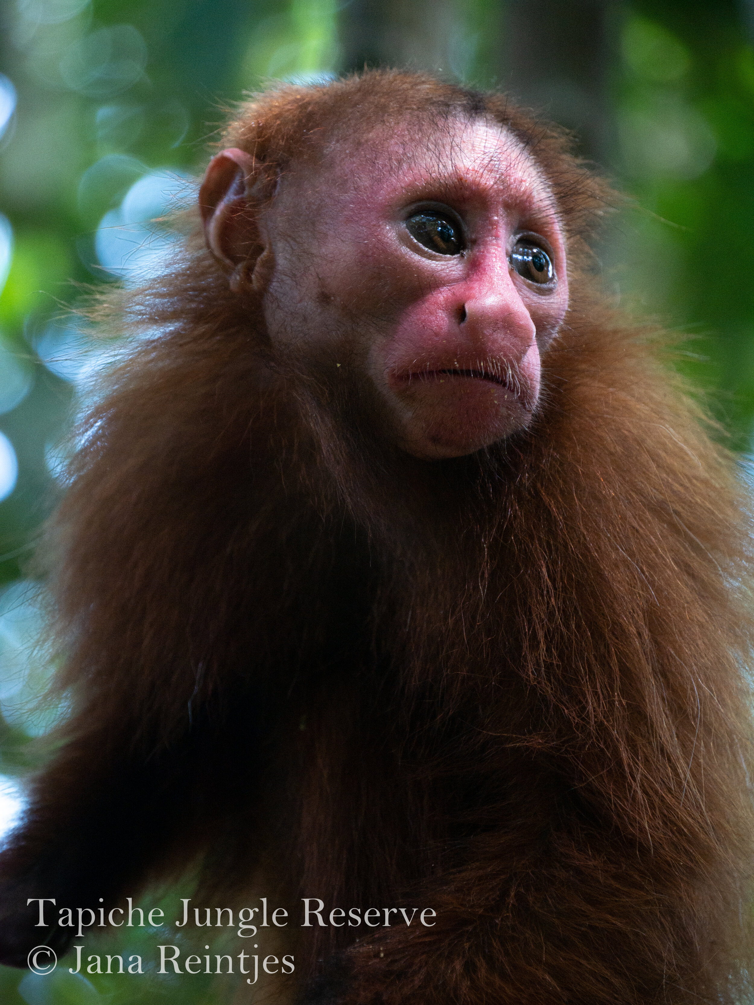 Meet the furry little angel that survived tragic consequences