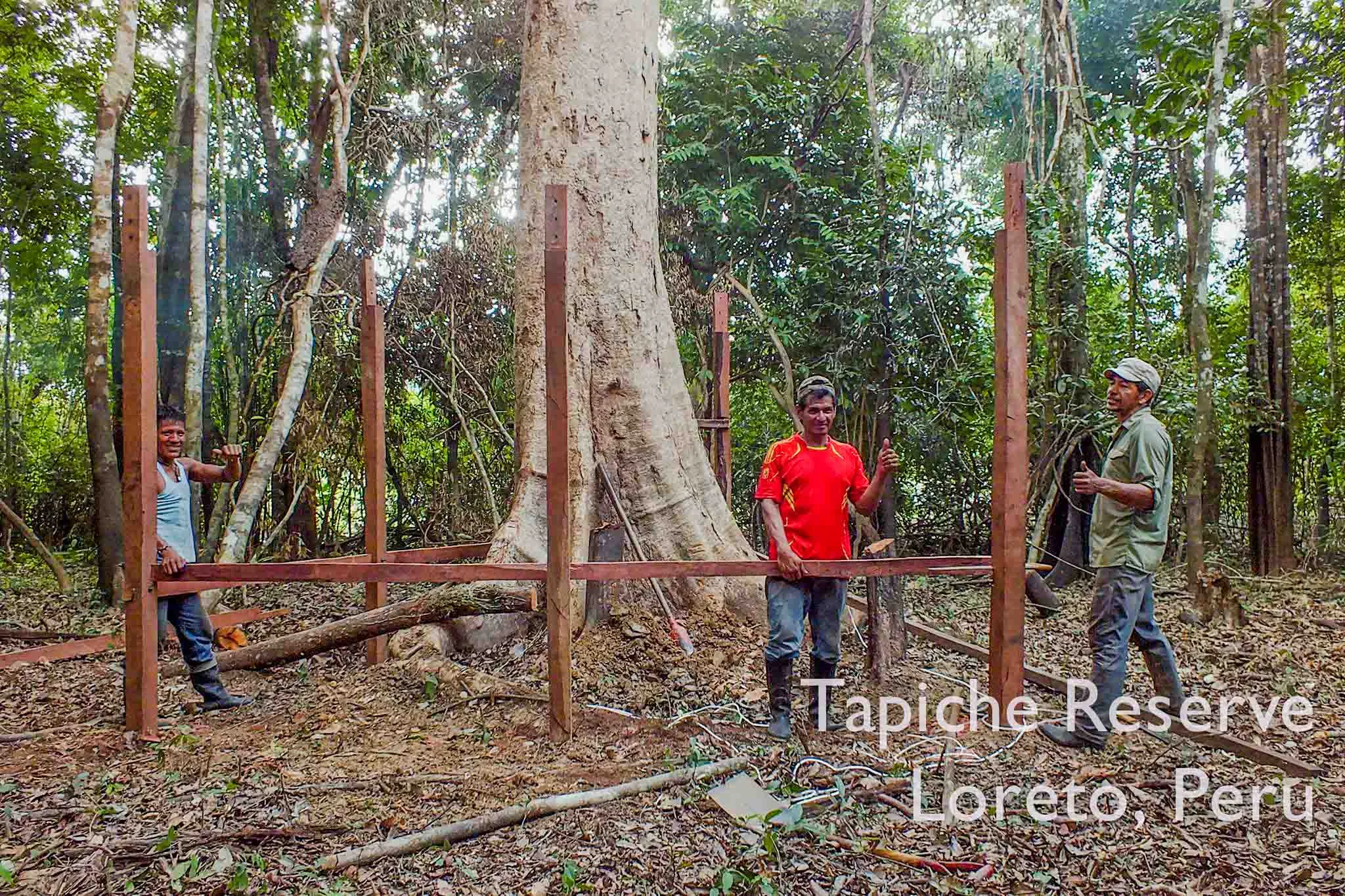 Next: a 32m-high Canopy Observation Tower