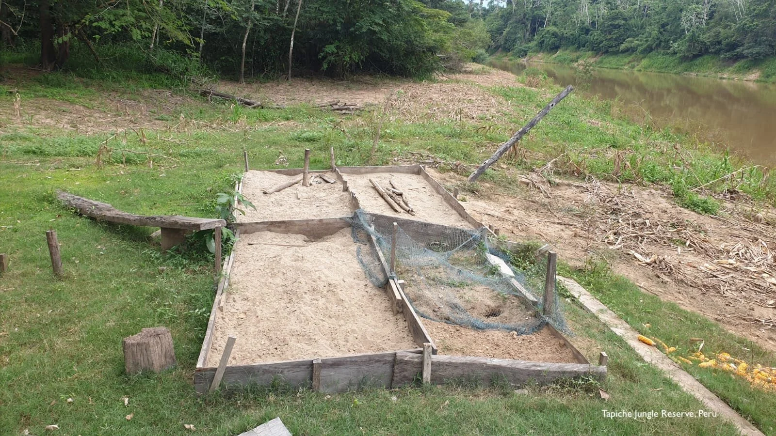 Tapiche-jungle-peru-turtle-rescue-hatchery.jpeg