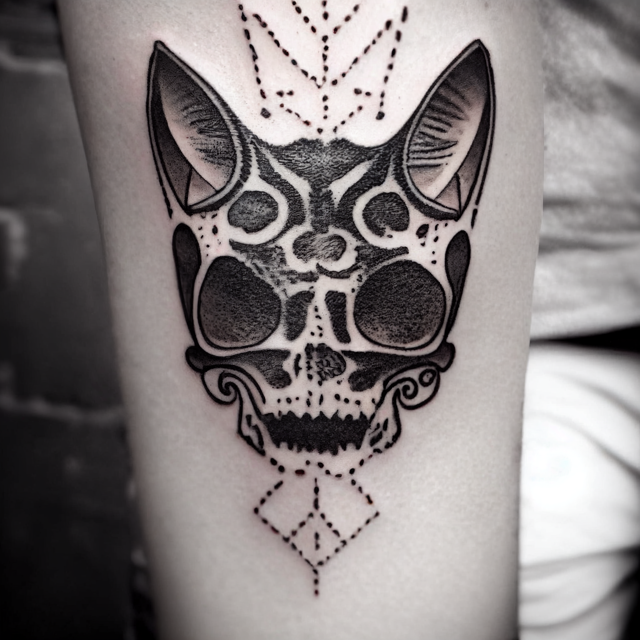 airdeck_tattoo_of_a_cat_skull_469d1e56-f2ee-43c2-bc57-515d46b9969d.png