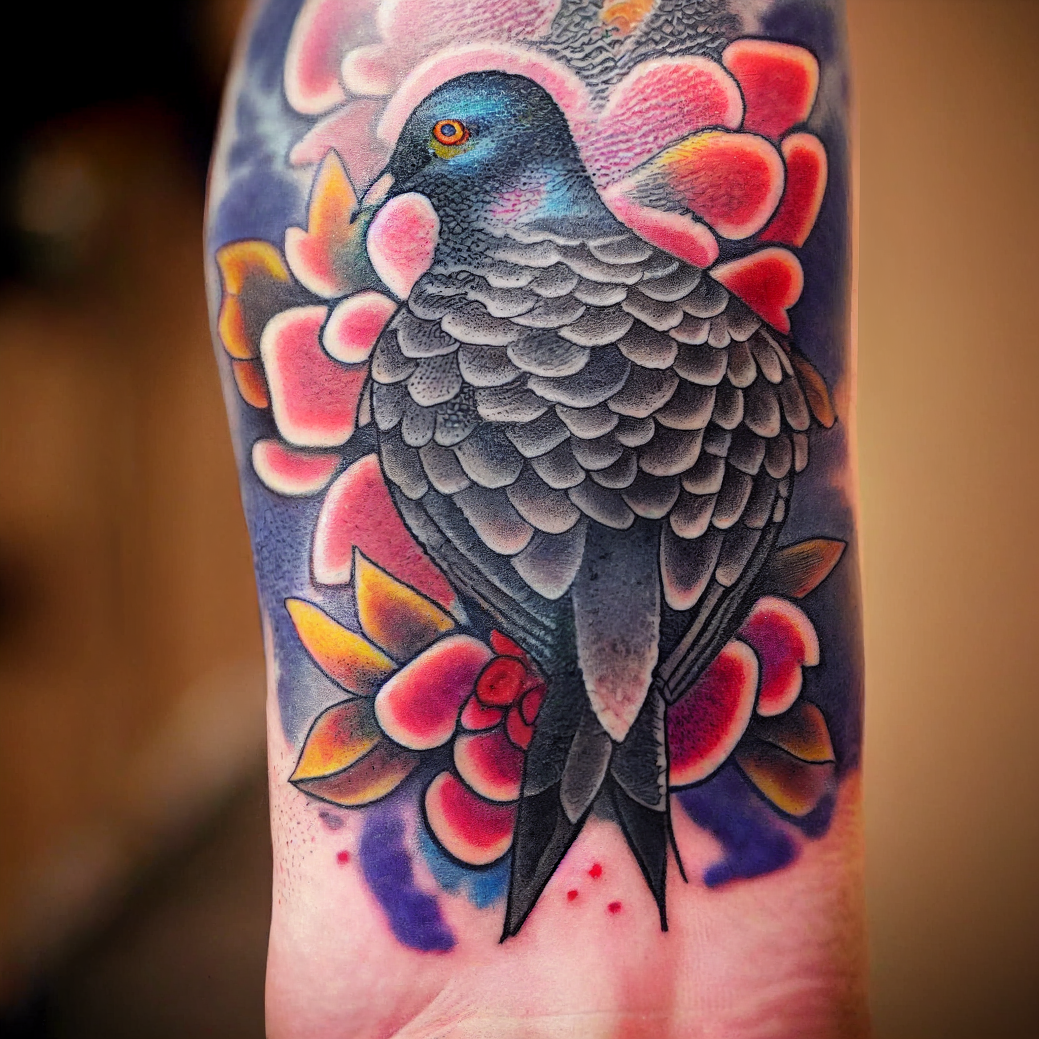 airdeck_American_traditional_tattoo_of_a_pigeon_78cf7a21-2eb6-4b49-b41d-4aad5249f67b.png