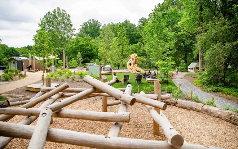 Maryland-playground-log-jam-768x480.jpg