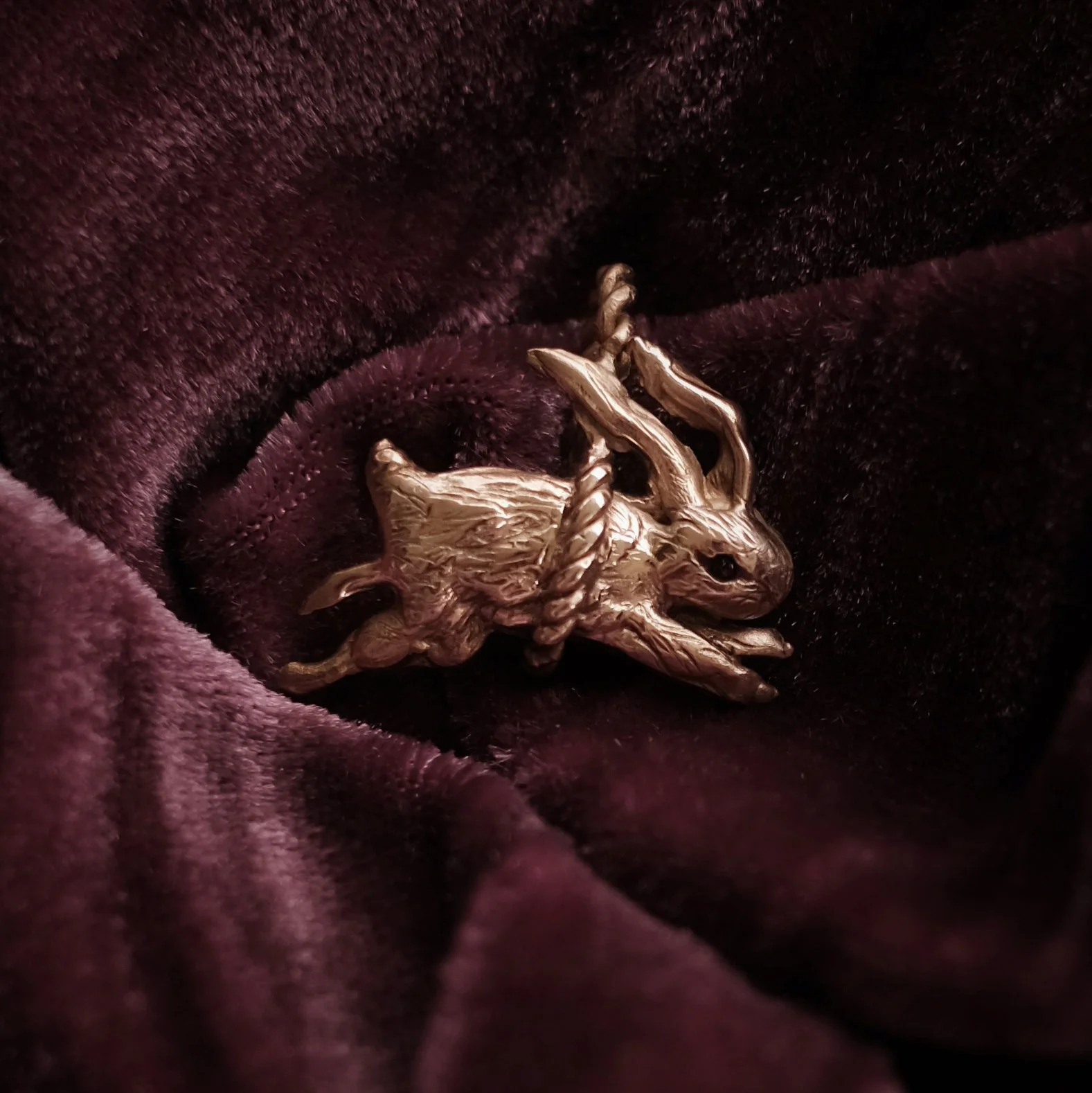 DSCF3376 copycrop.jpg