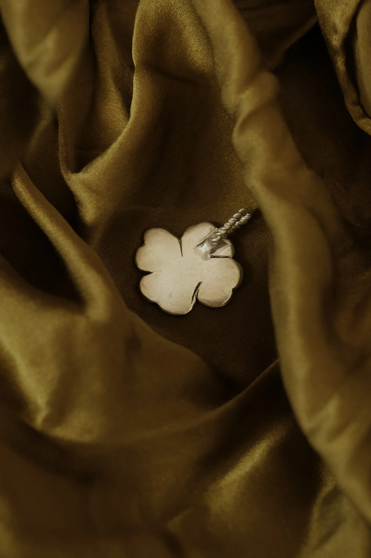 DSCF4780.jpg