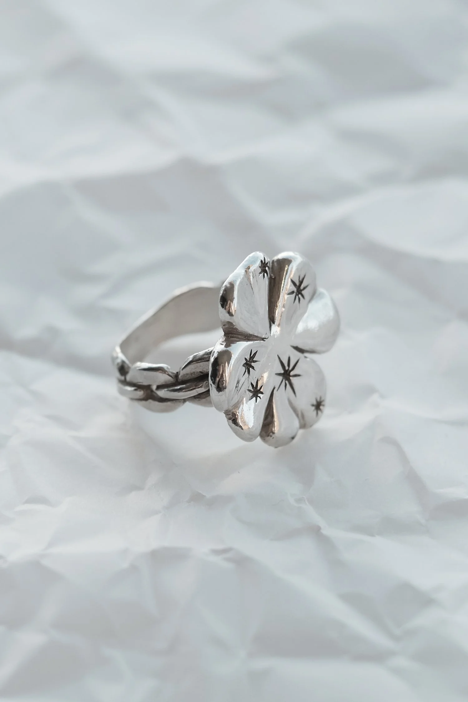 clover-4.jpg