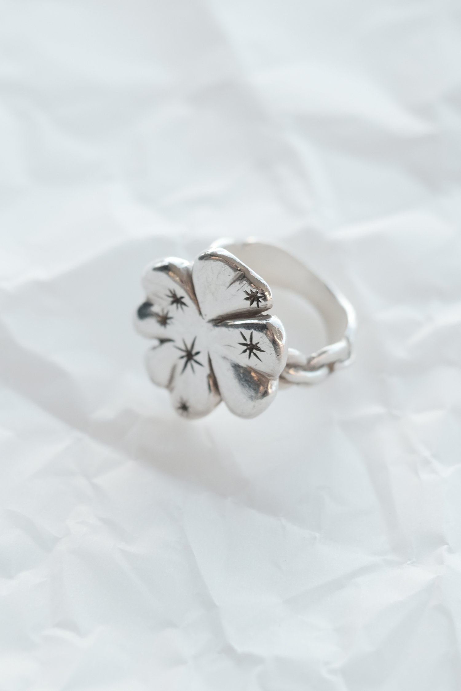 clover-2.jpg