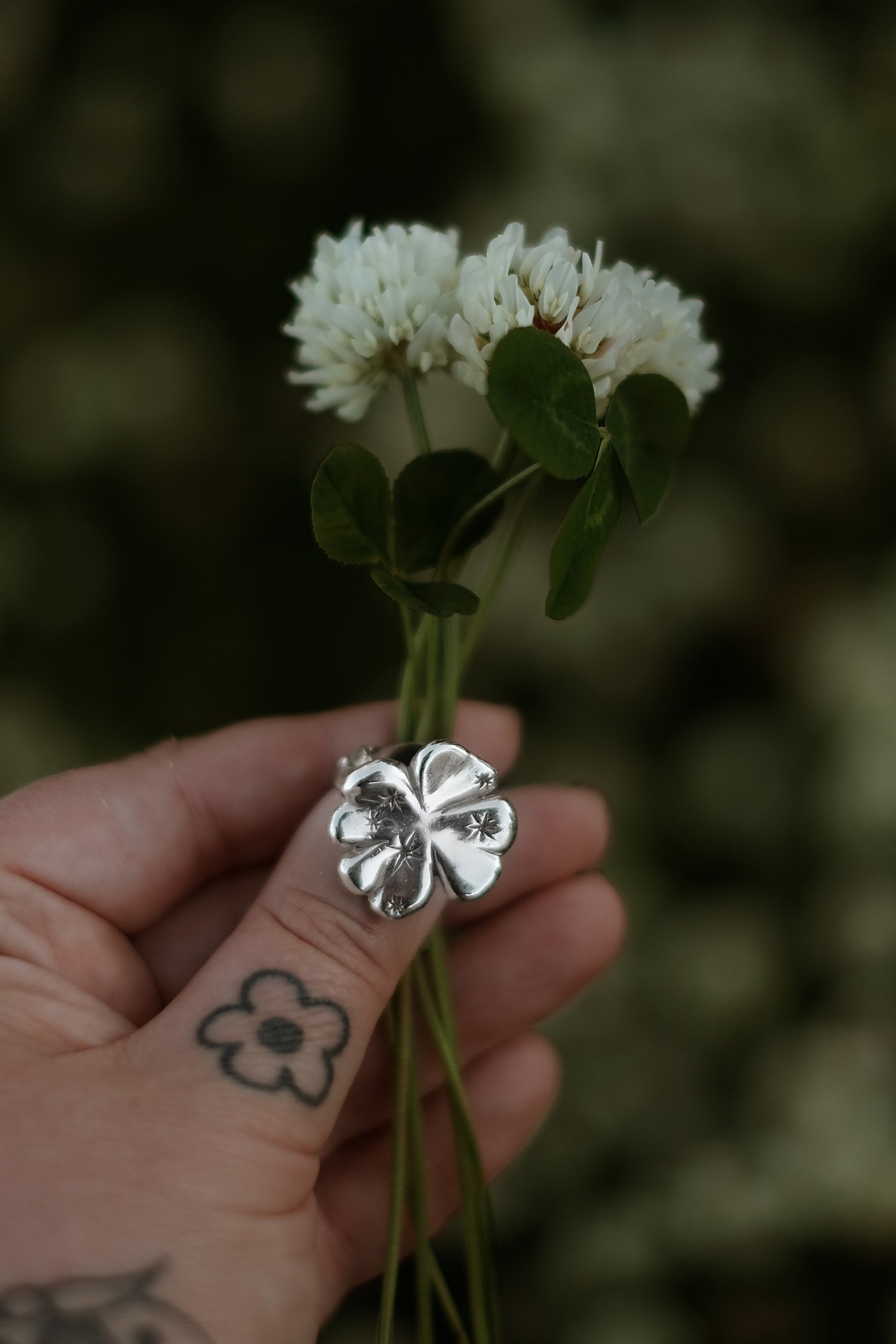 clover-11.jpg