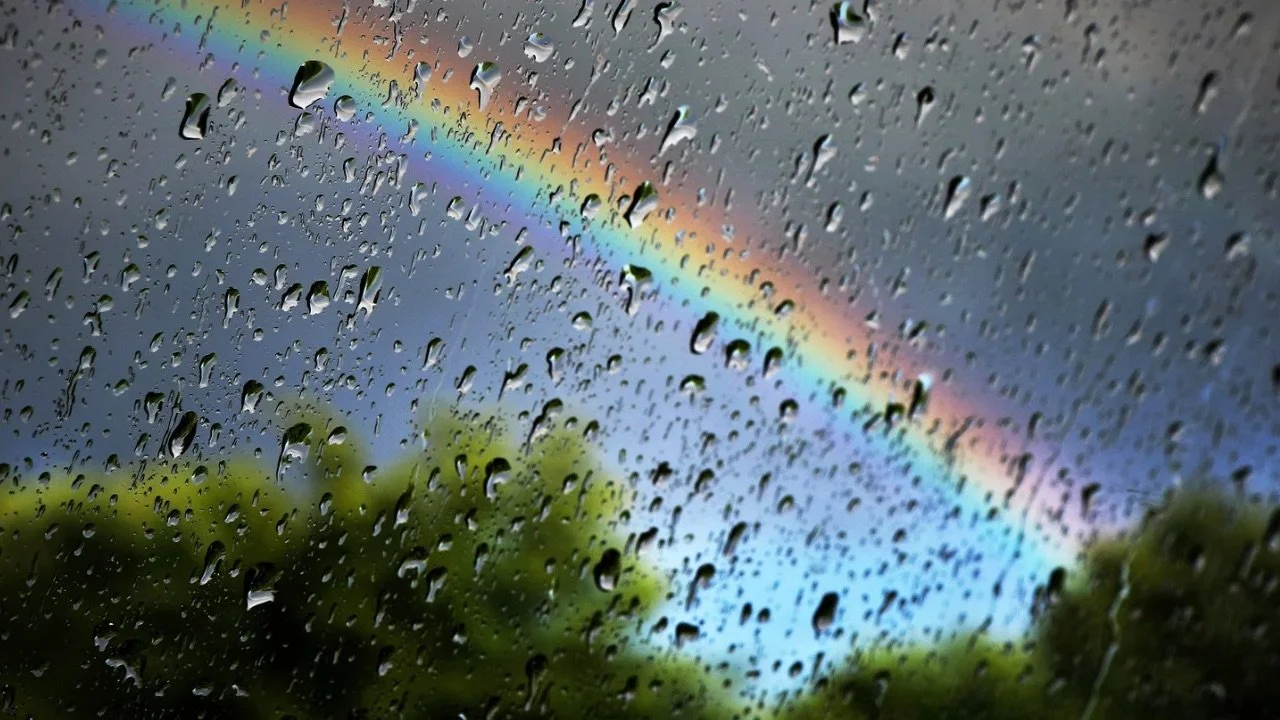 We Need The Rain
